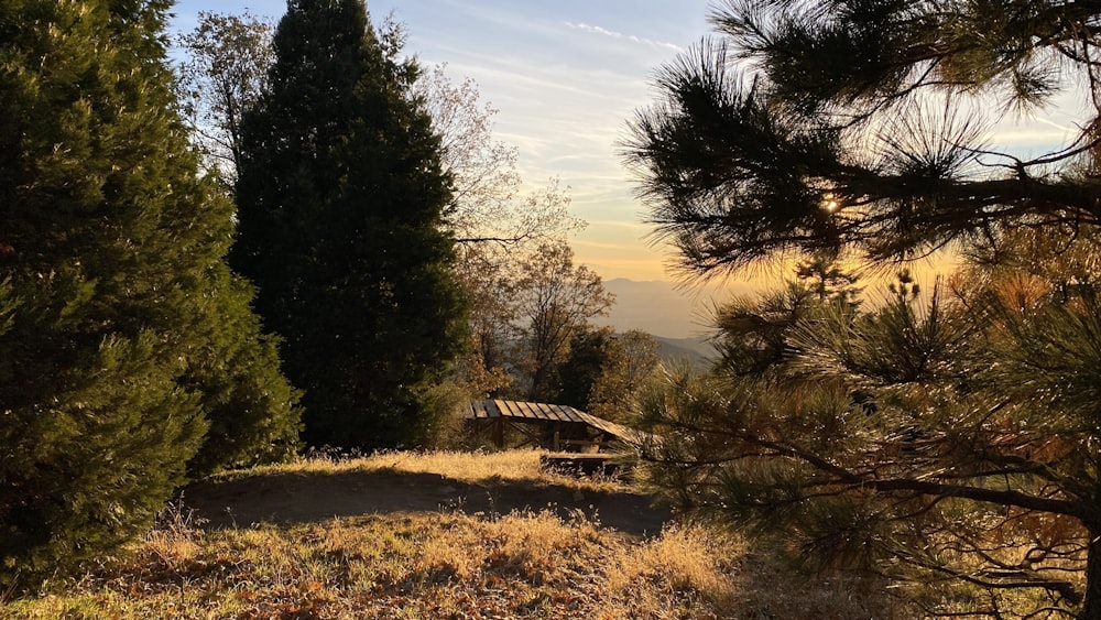 a wooden bench sitting on top of a grass covered hillside