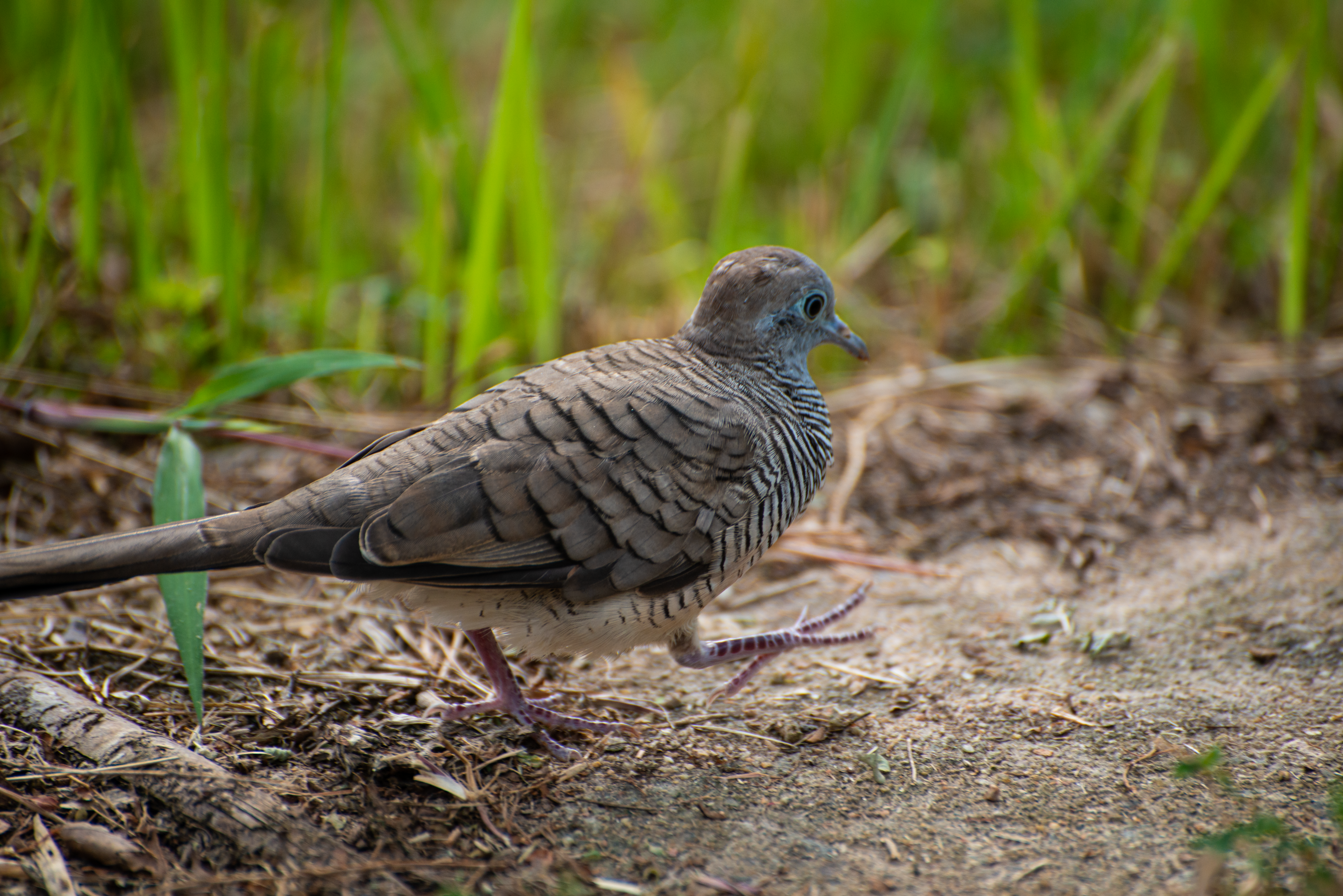 Photo by smithclukas