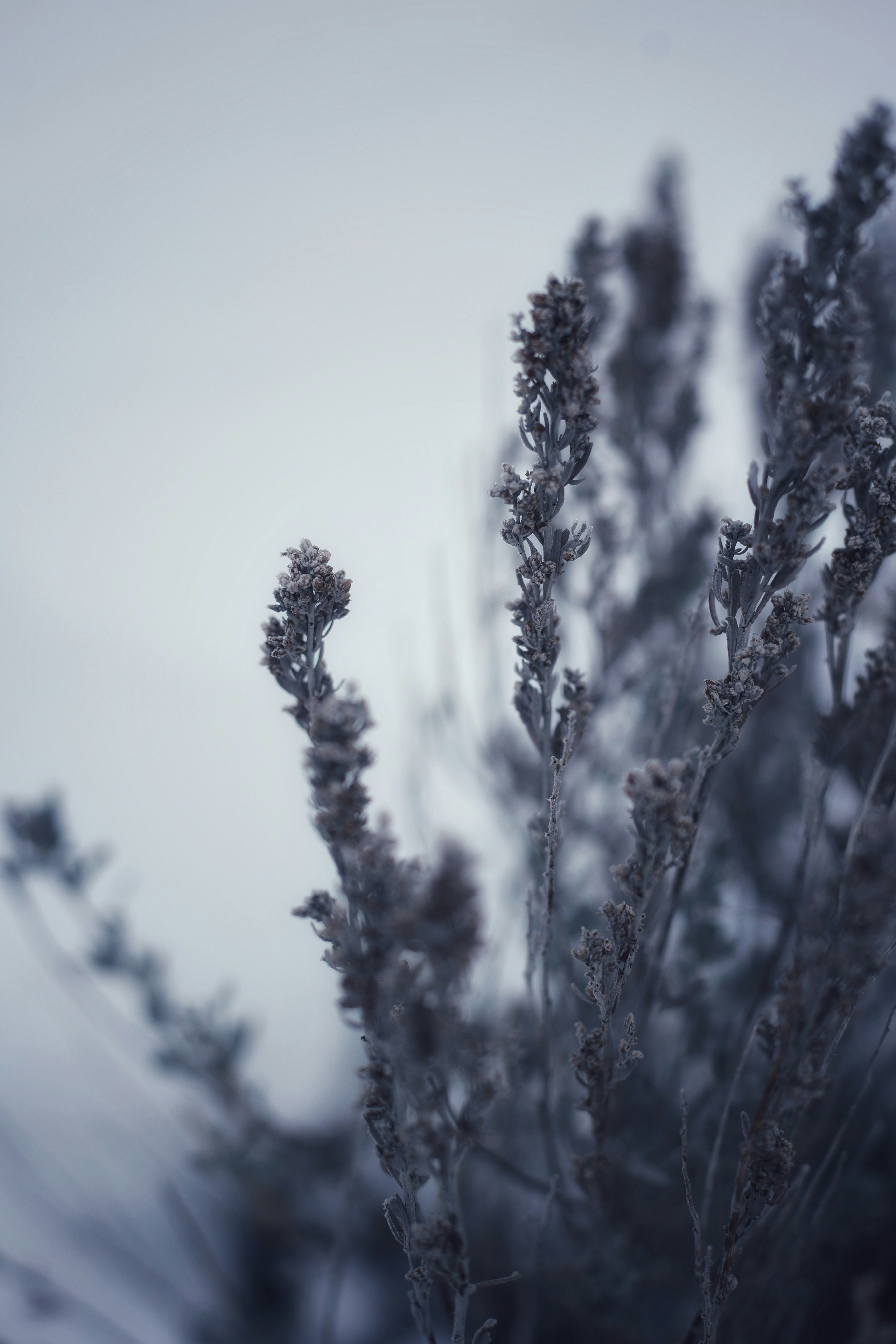 Photo by joshua_hoehne