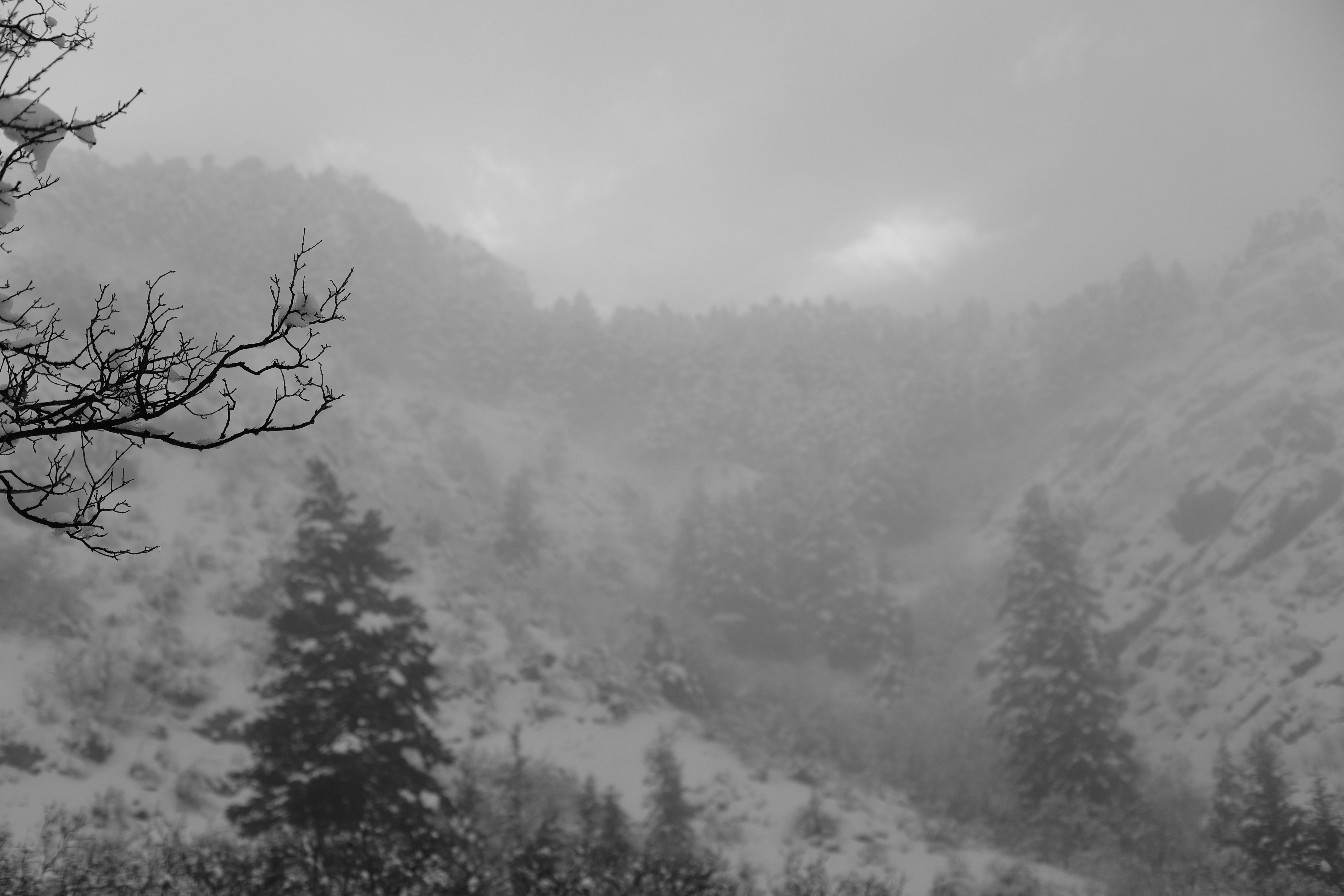 Photo by joshua_hoehne