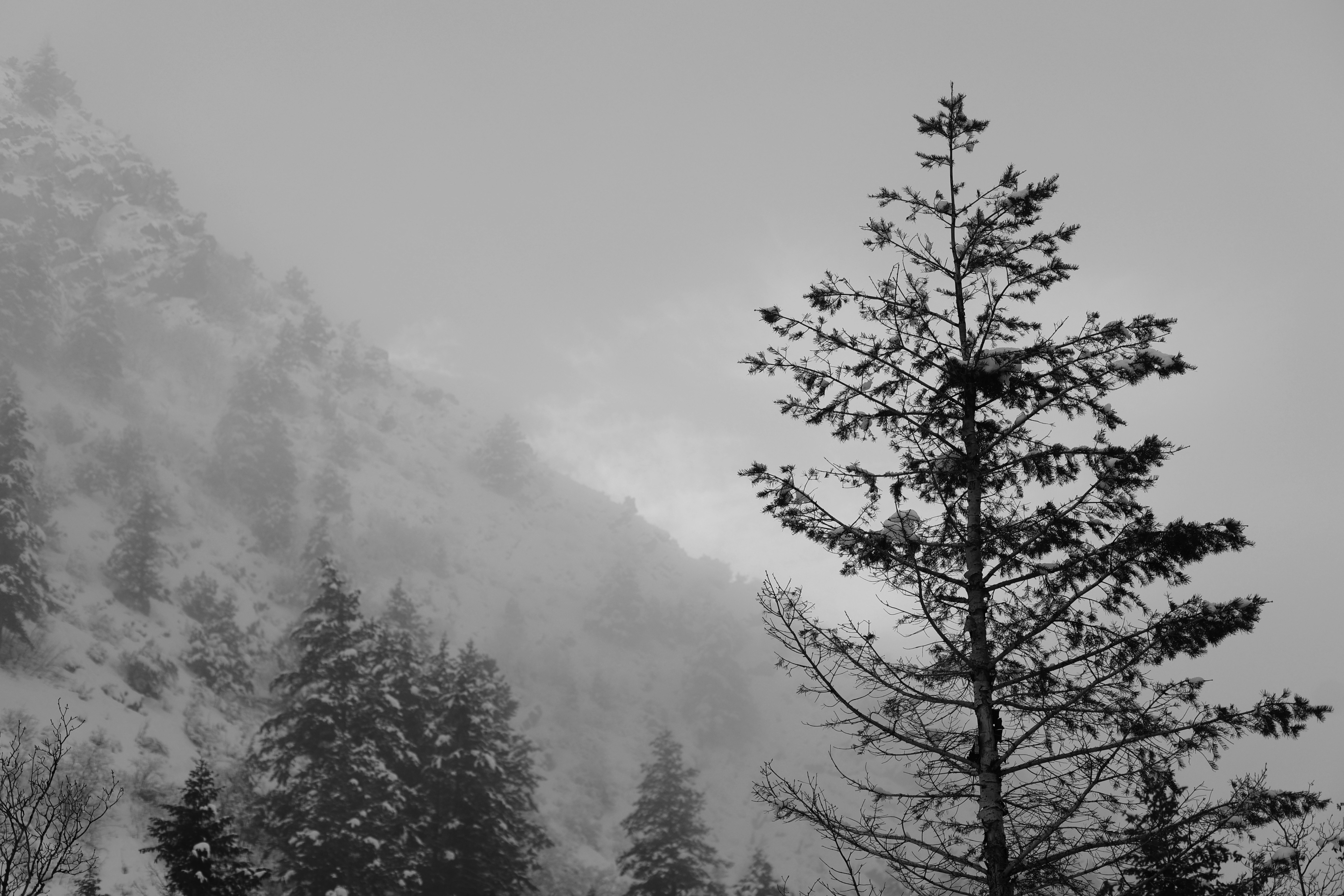 Photo by joshua_hoehne