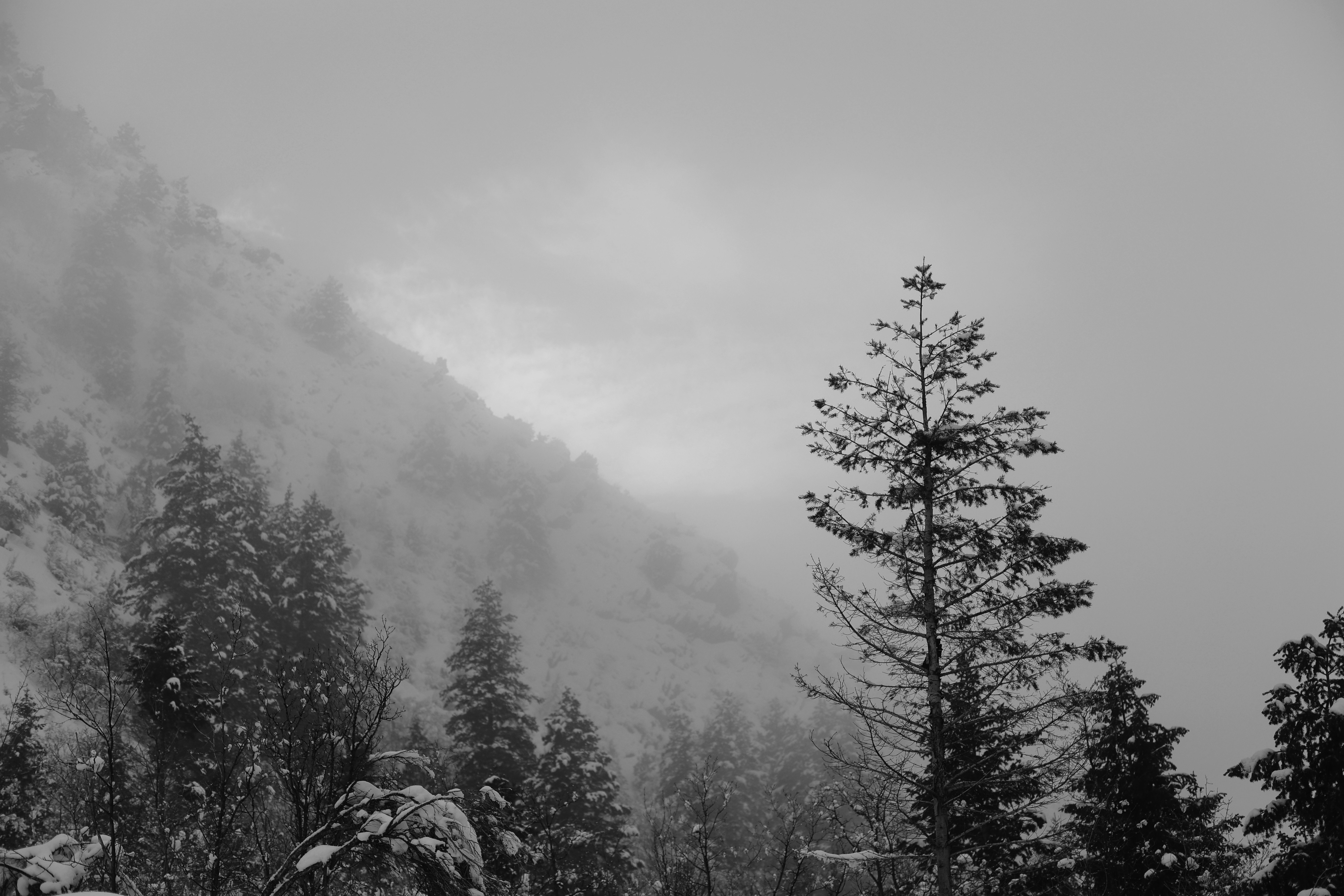 Photo by joshua_hoehne