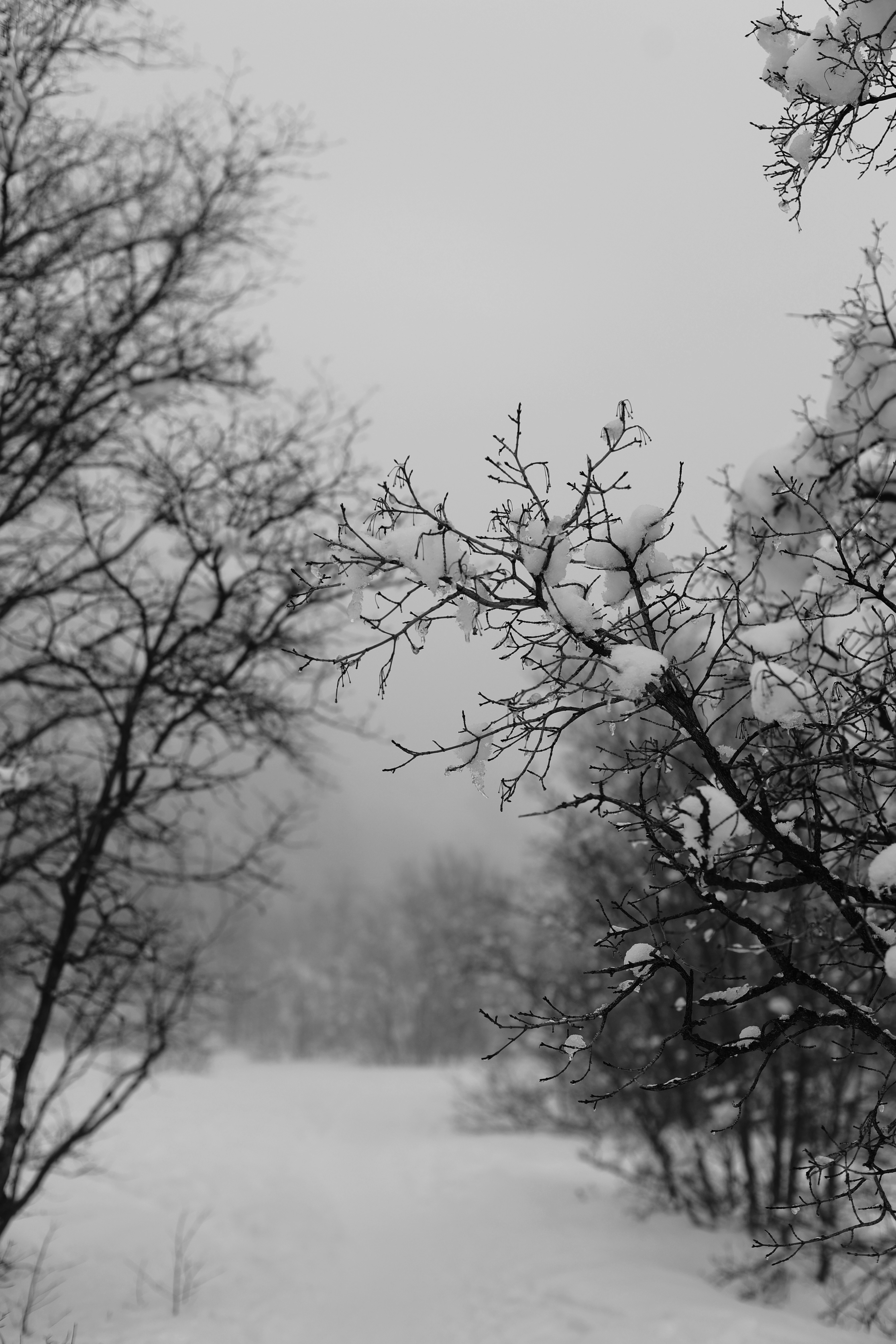 Photo by joshua_hoehne