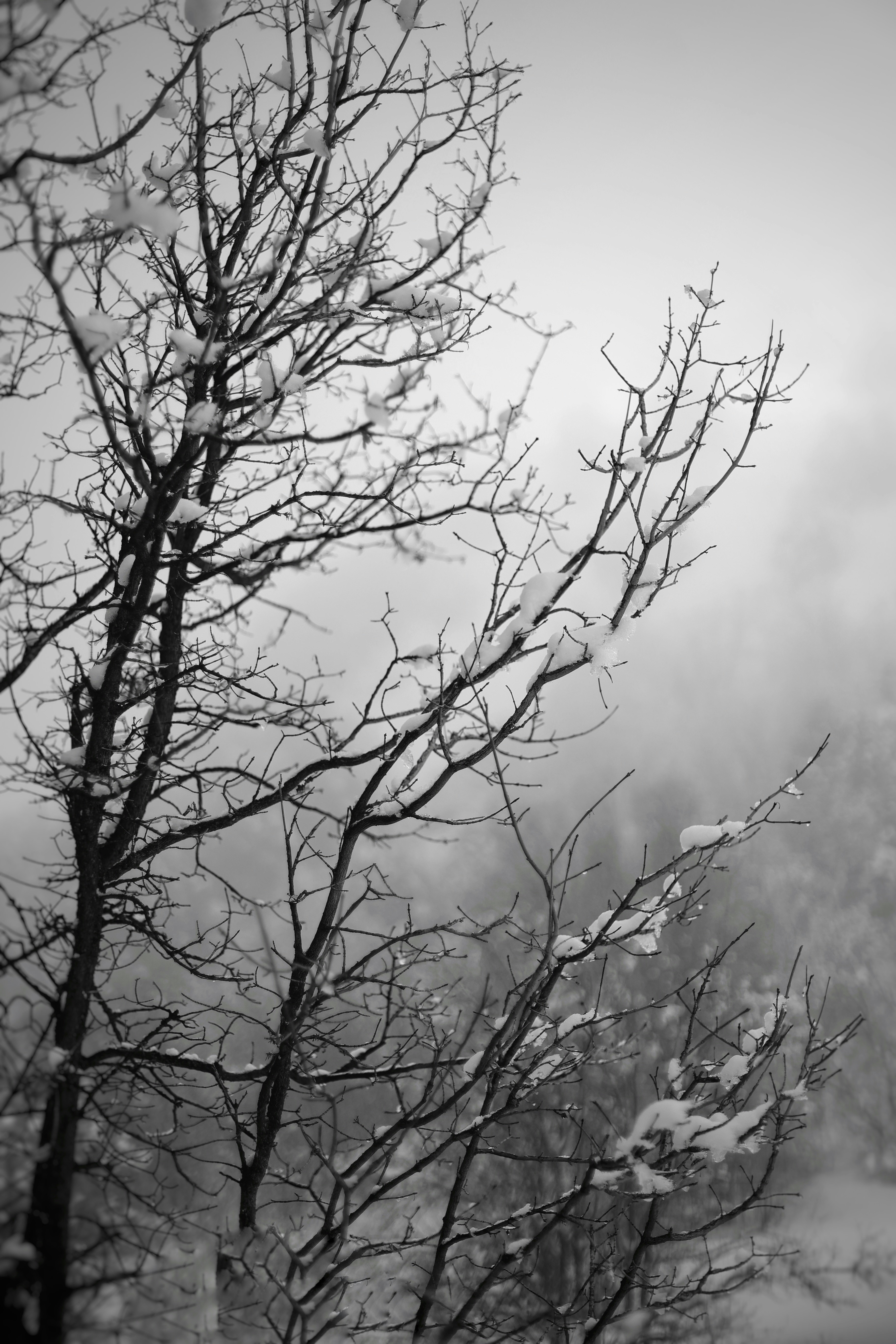 Photo by joshua_hoehne