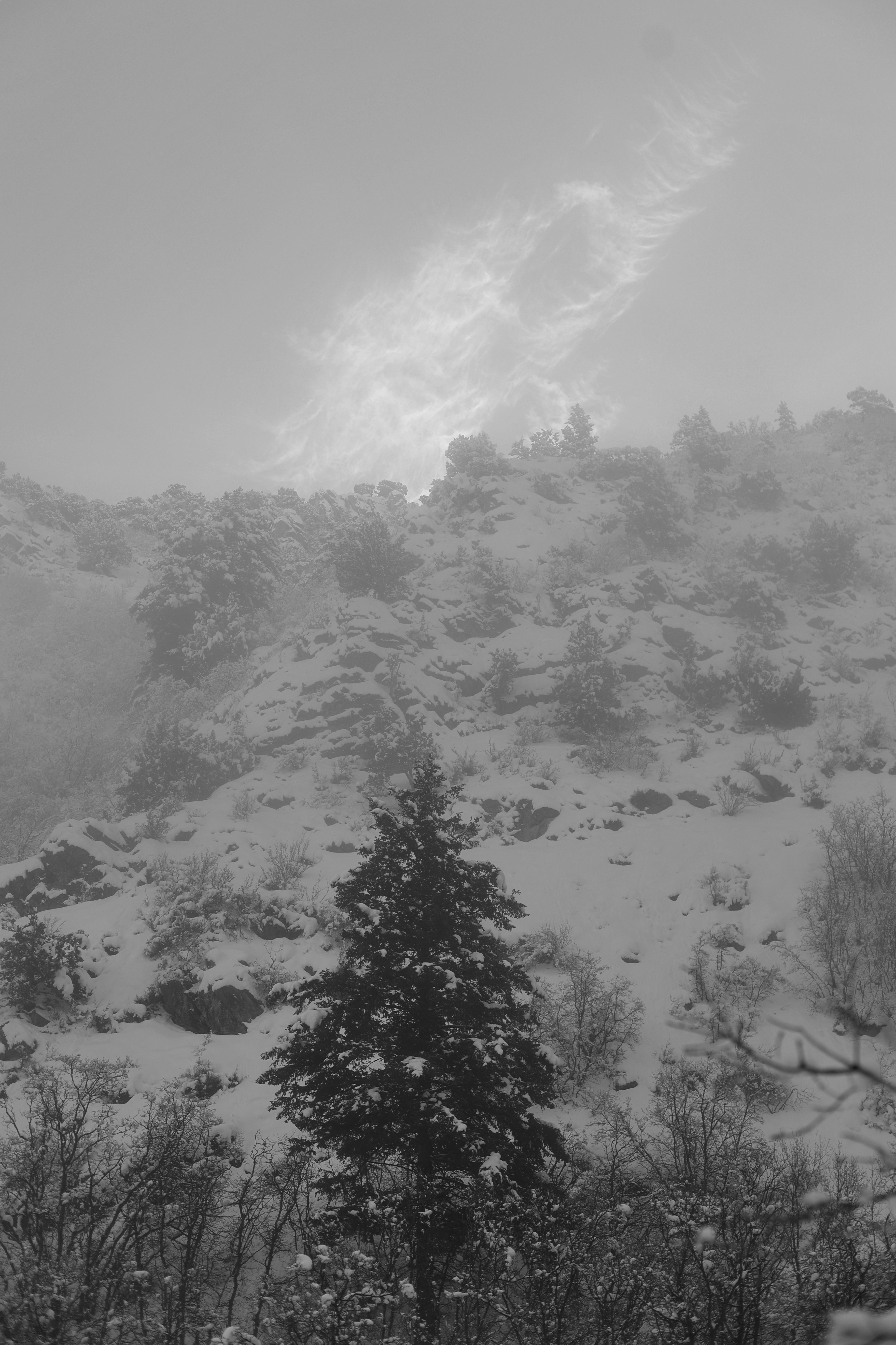 Photo by joshua_hoehne