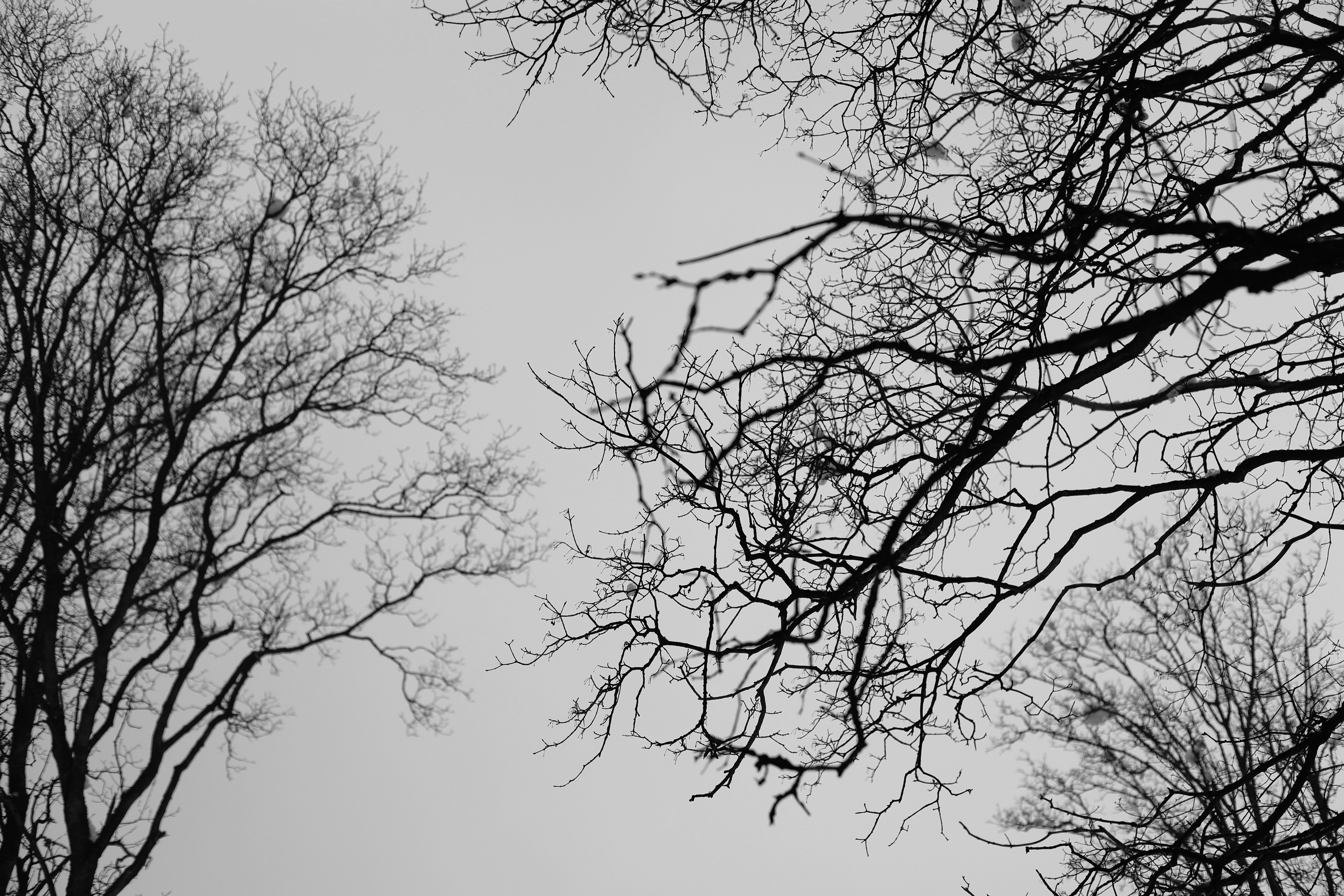 Photo by joshua_hoehne