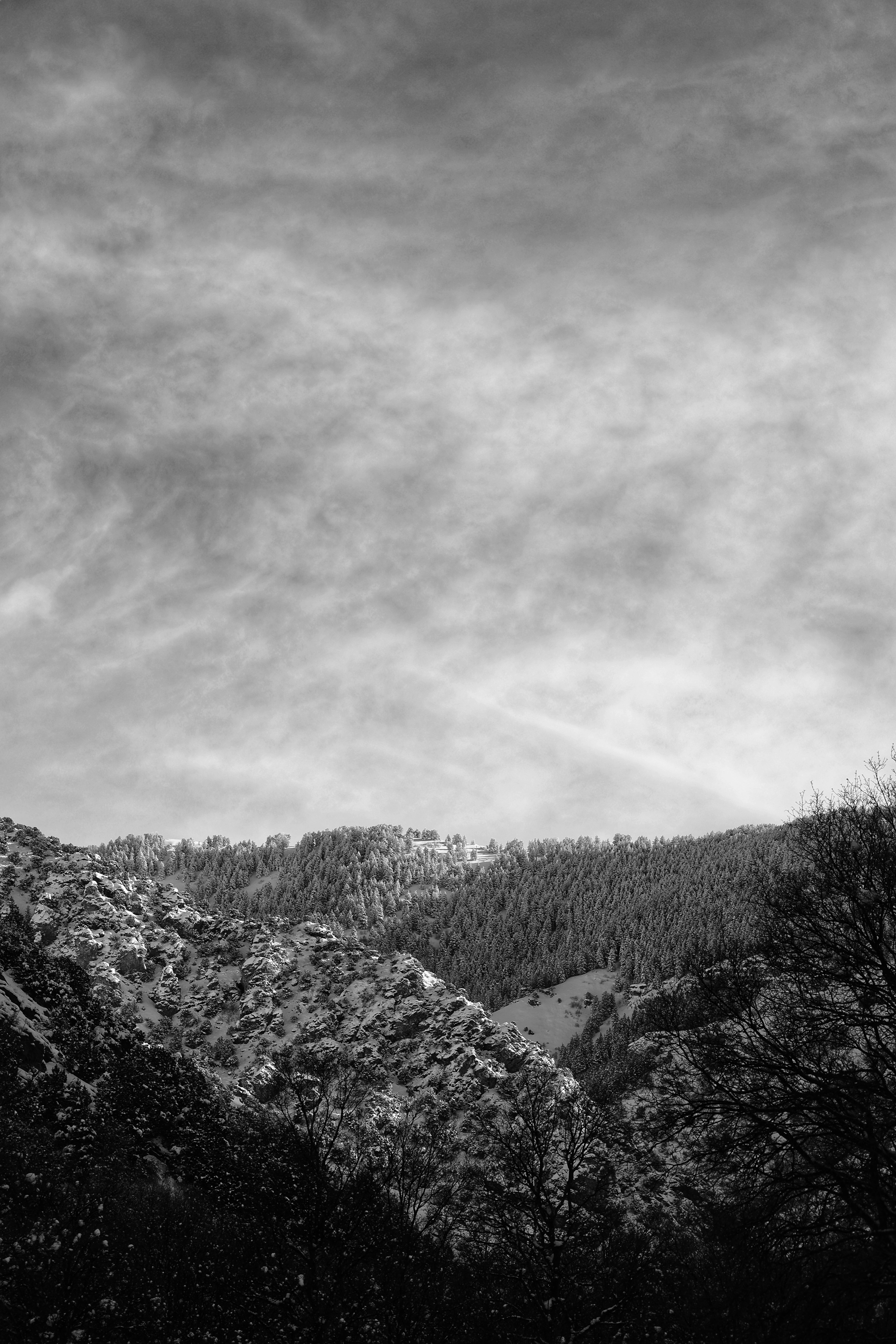 Photo by joshua_hoehne