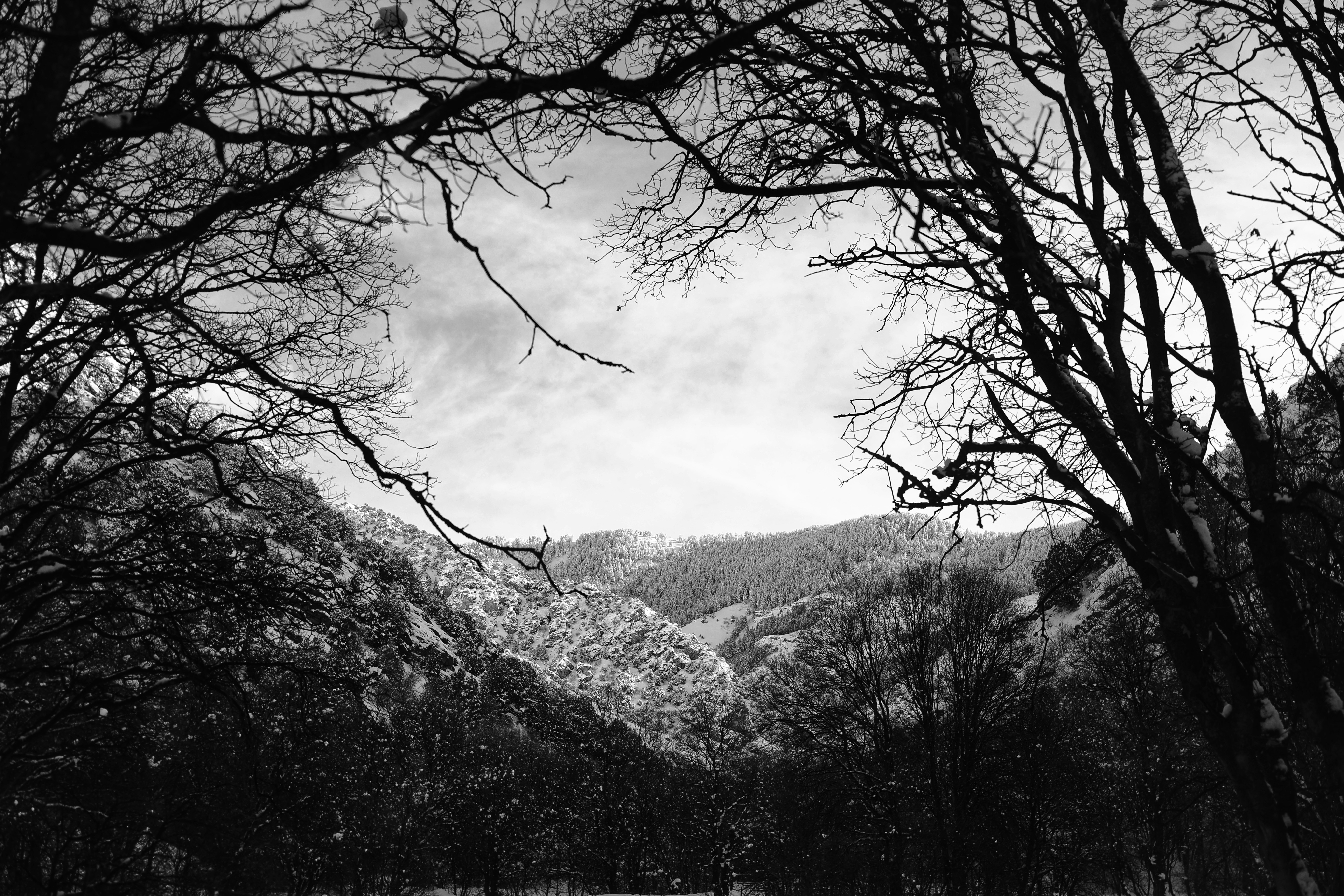 Photo by joshua_hoehne