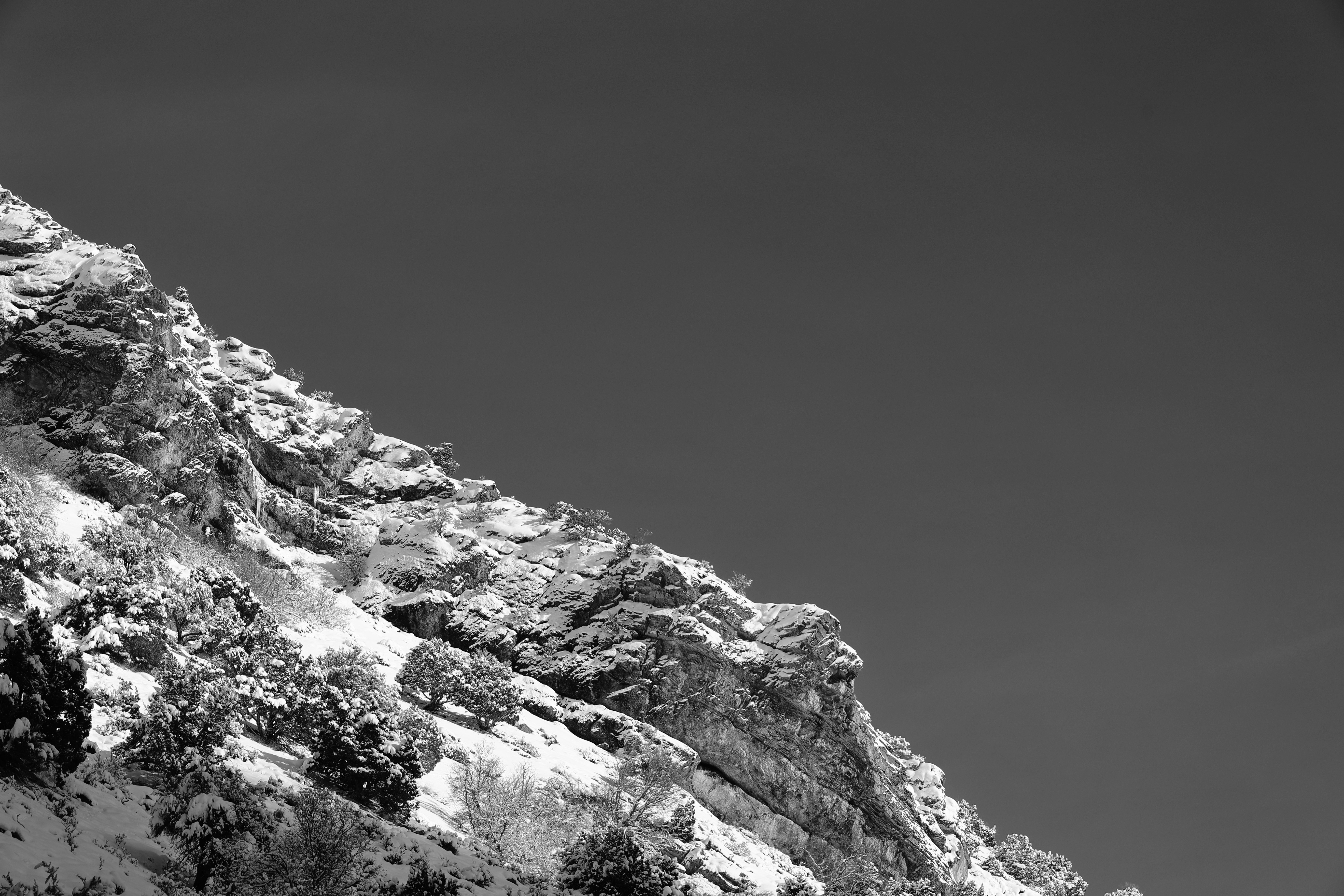 Photo by joshua_hoehne