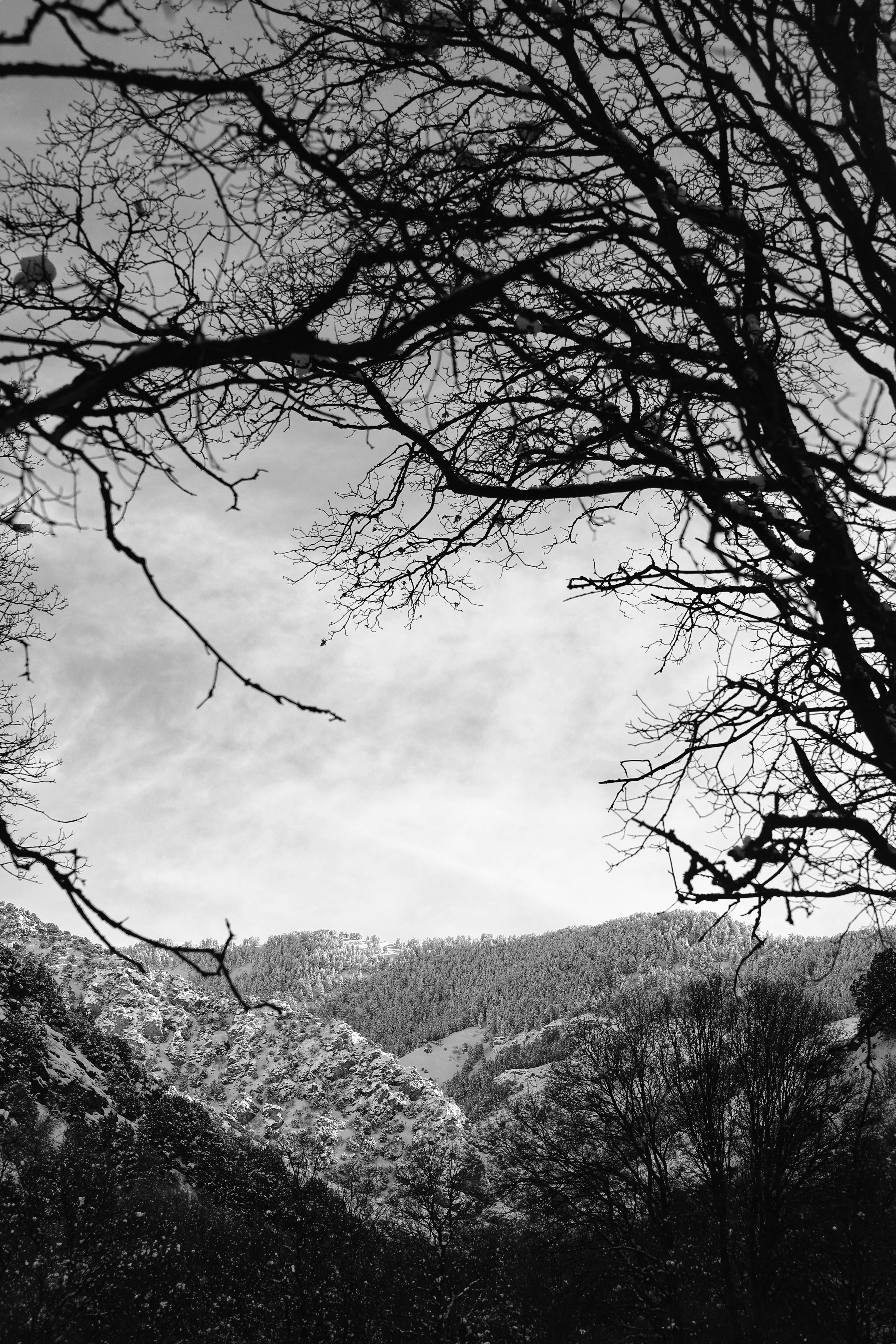 Photo by joshua_hoehne