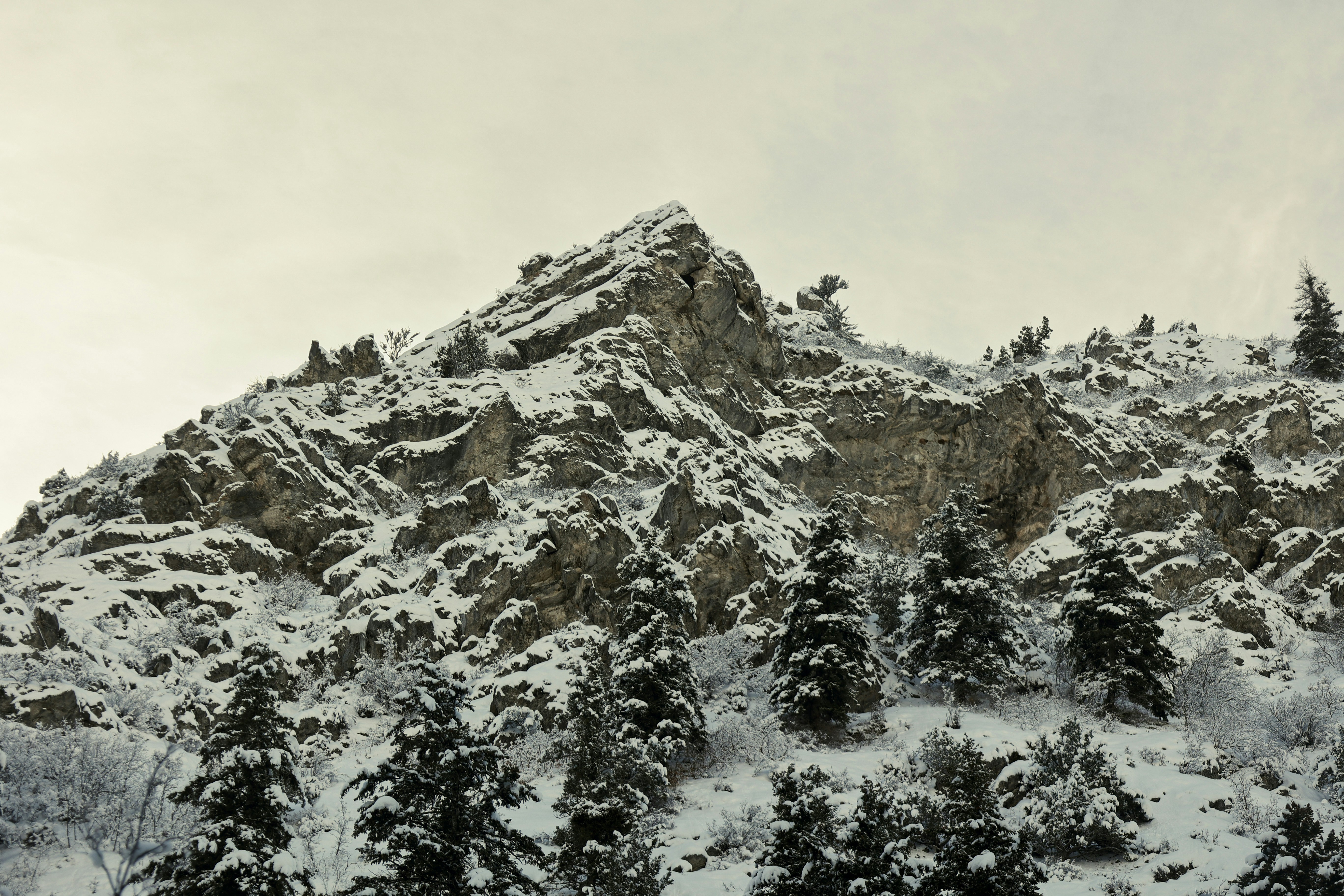 Photo by joshua_hoehne