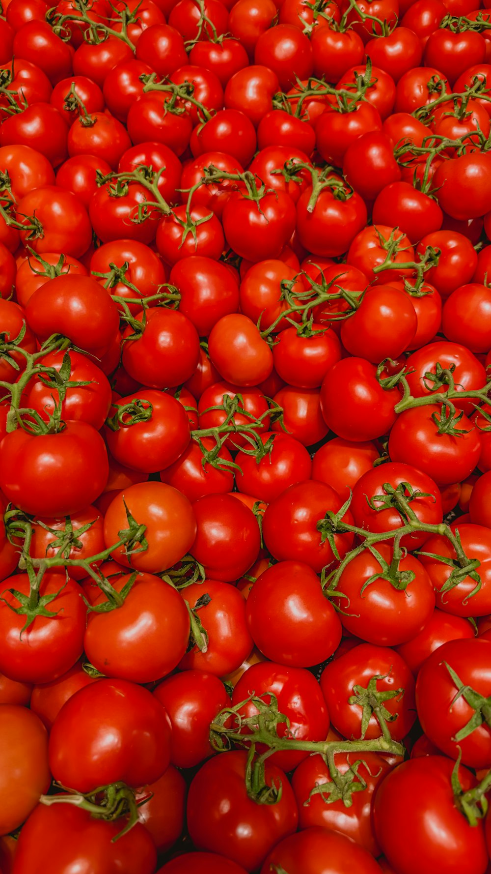 a large pile of red tomatoes sitting on top of a table