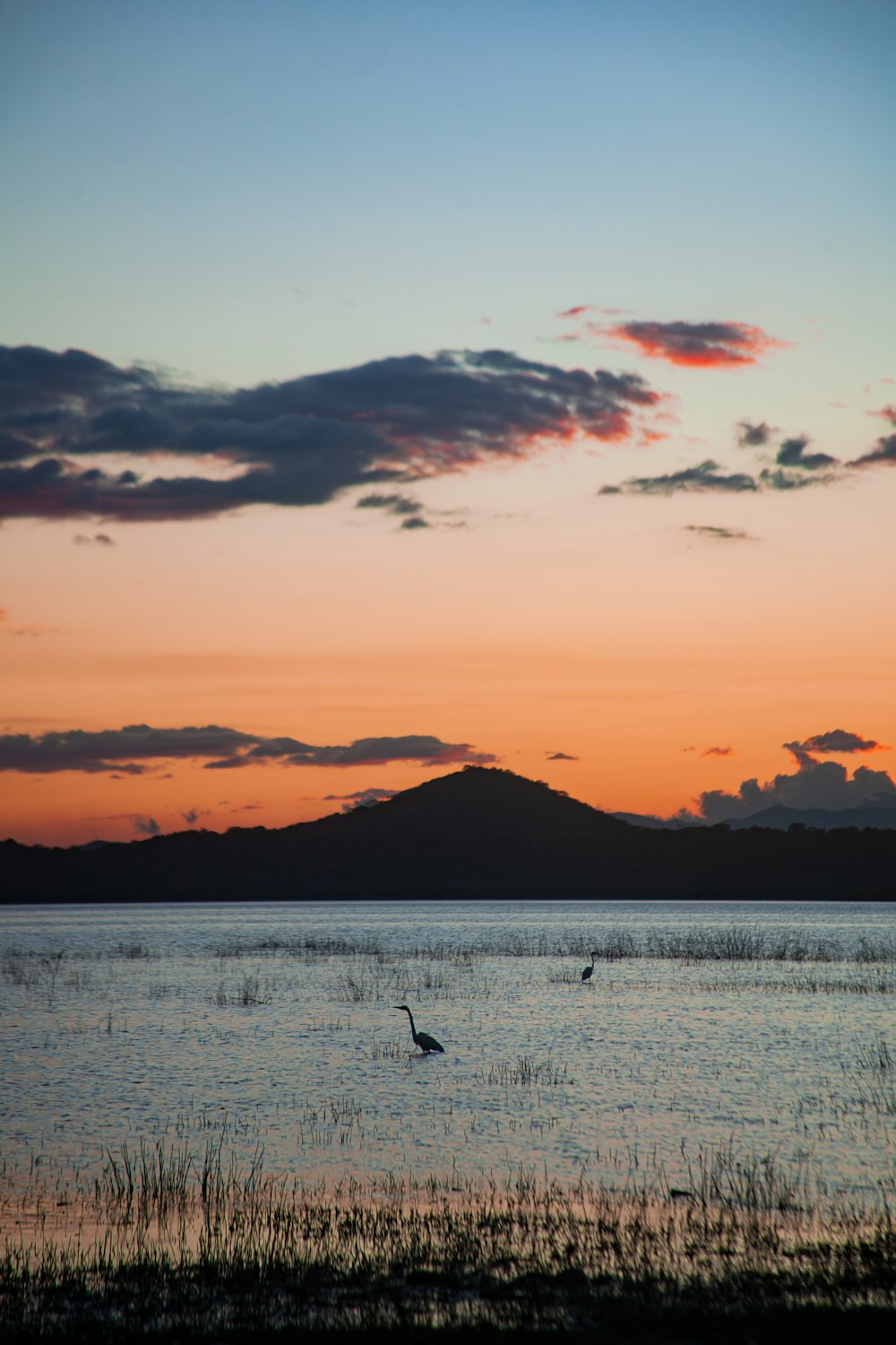 a couple of birds flying over a large body of water