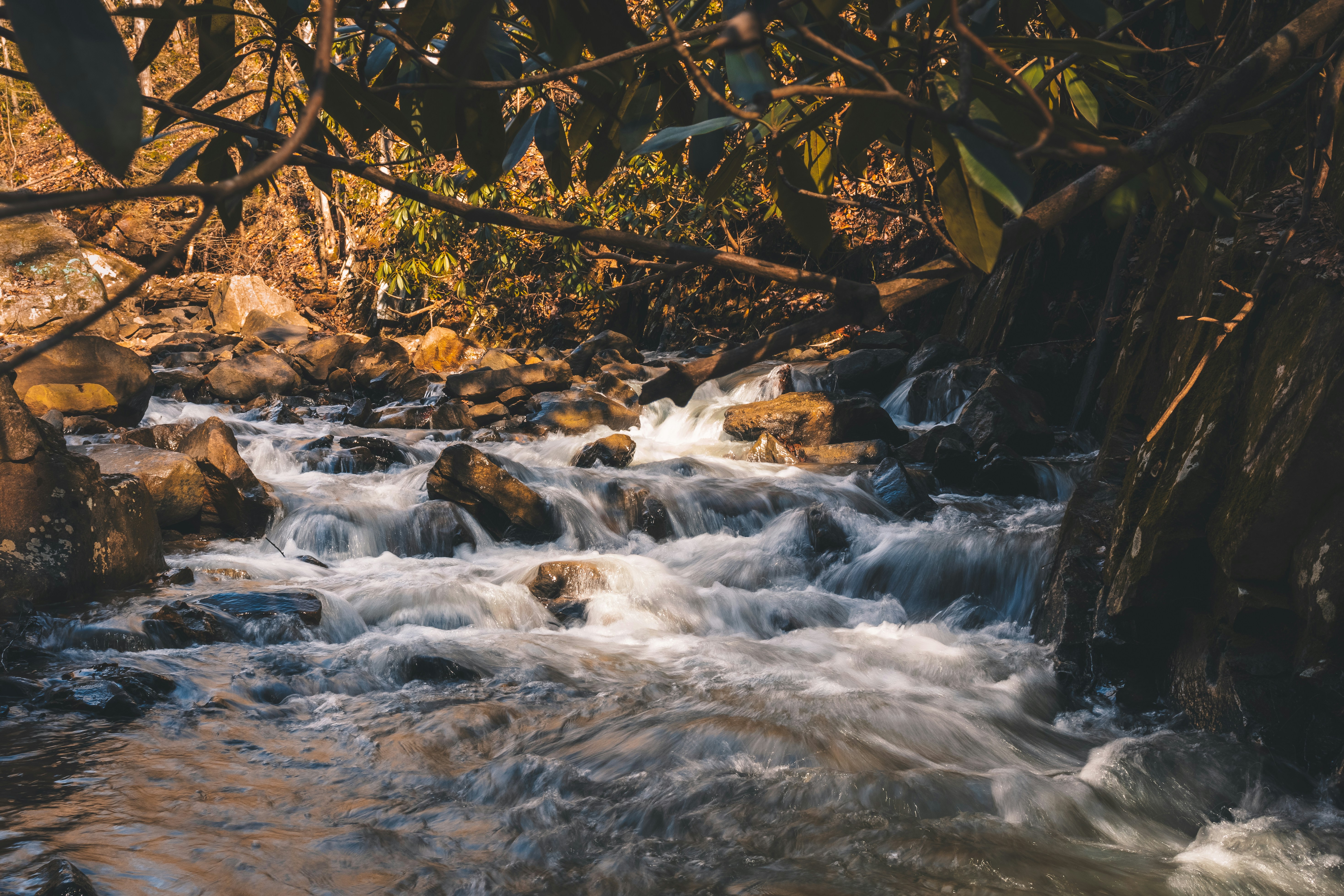 Photo by brice_cooper18