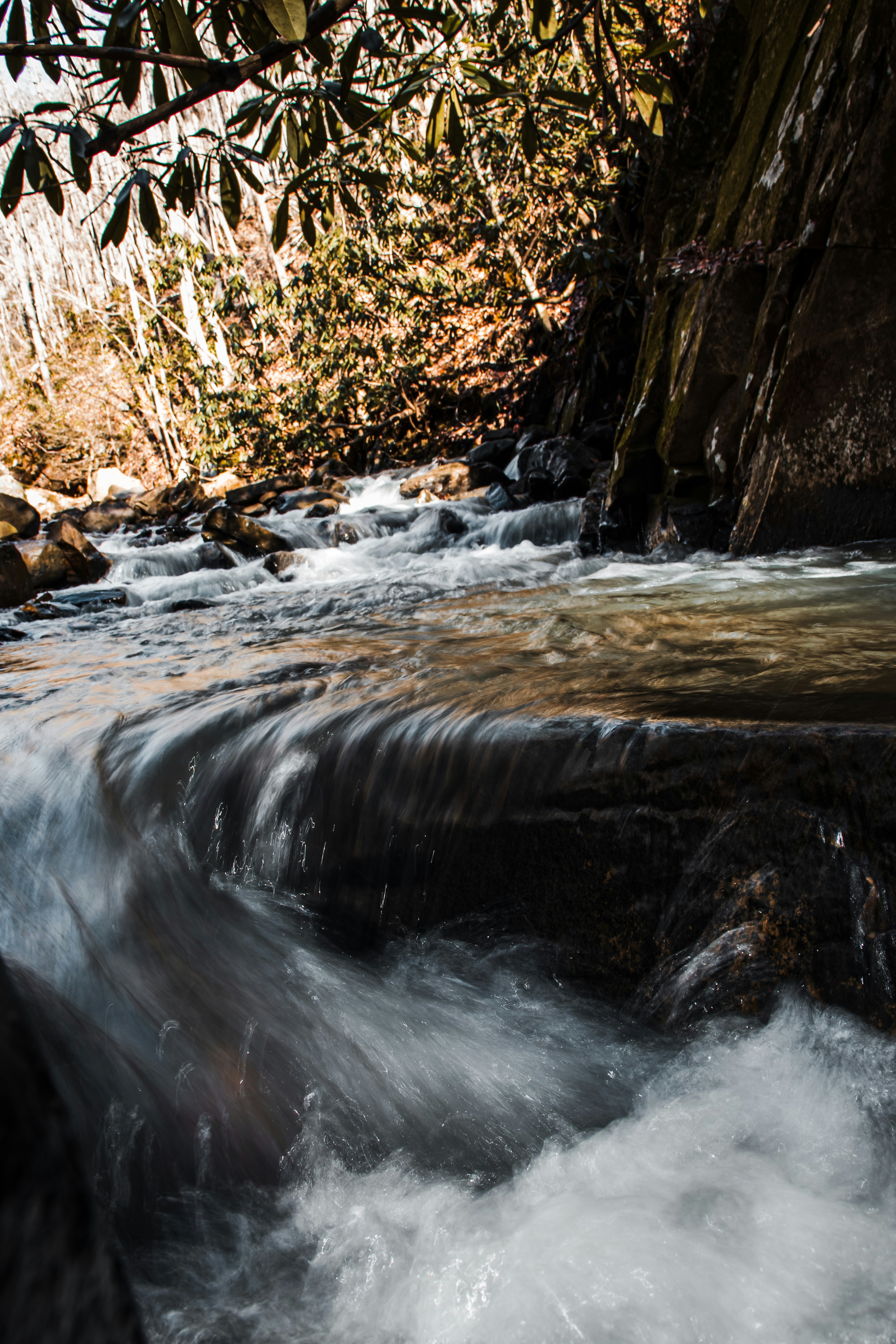 Photo by brice_cooper18