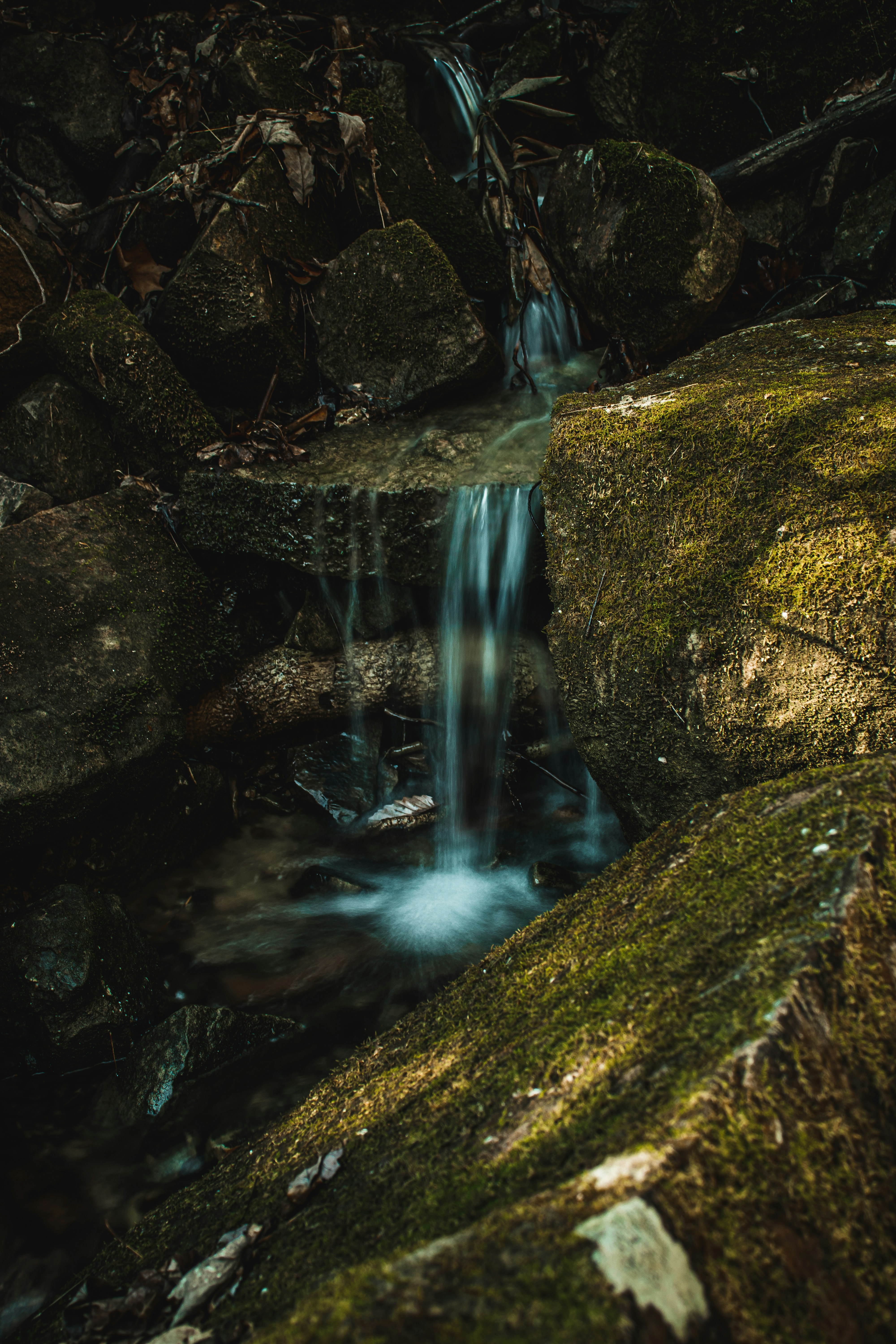 Photo by brice_cooper18