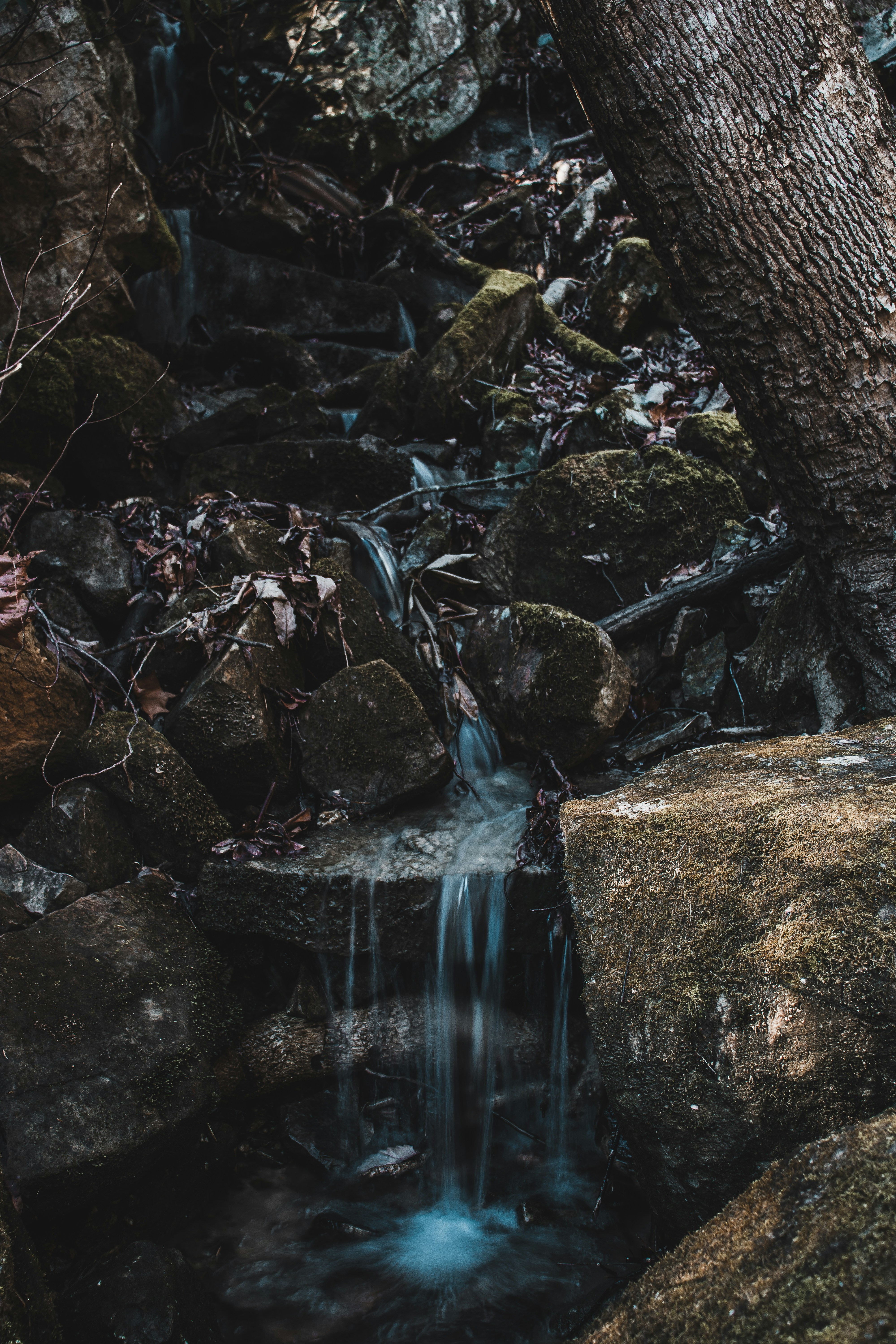 Photo by brice_cooper18