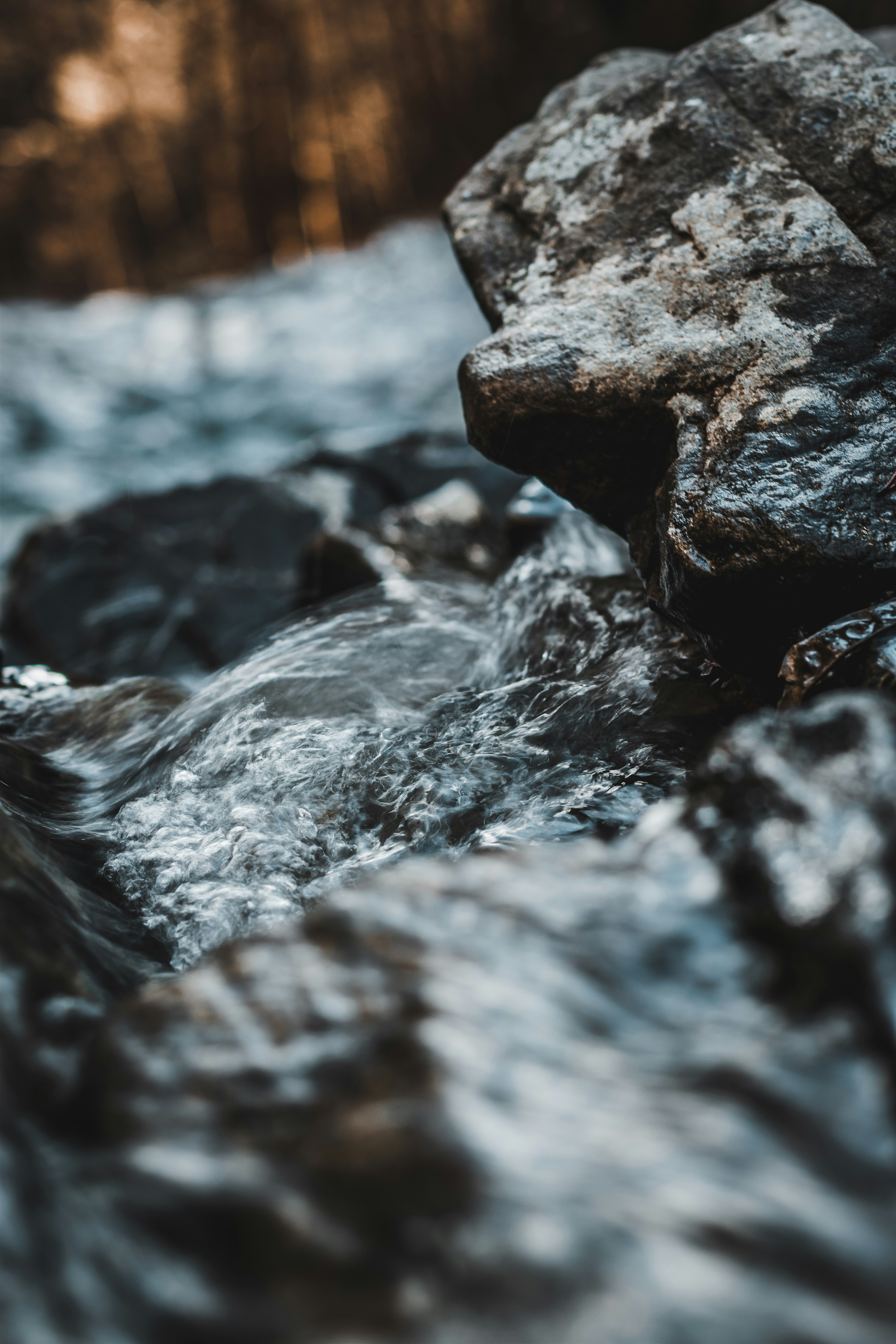 Photo by brice_cooper18