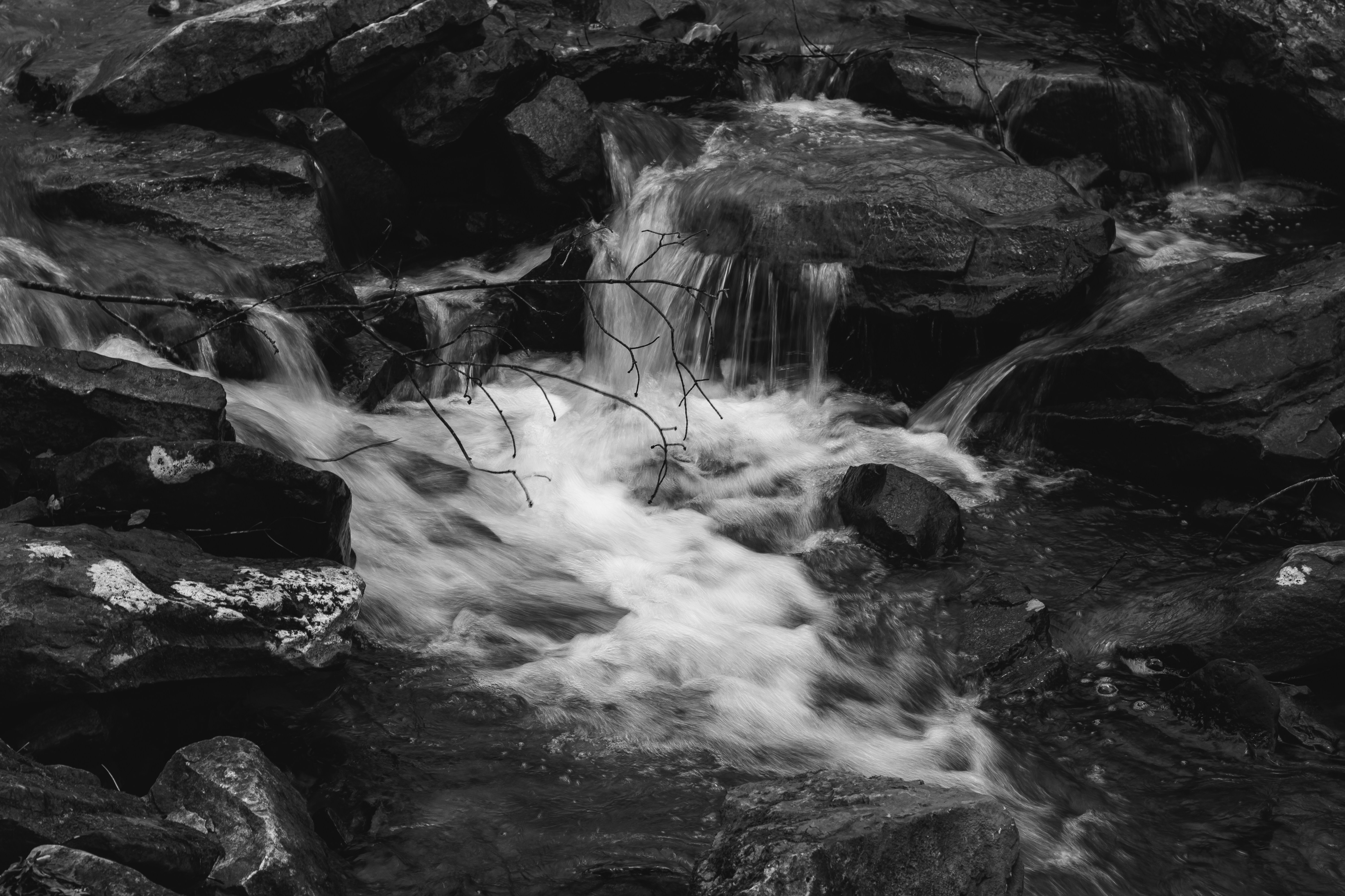 Photo by brice_cooper18