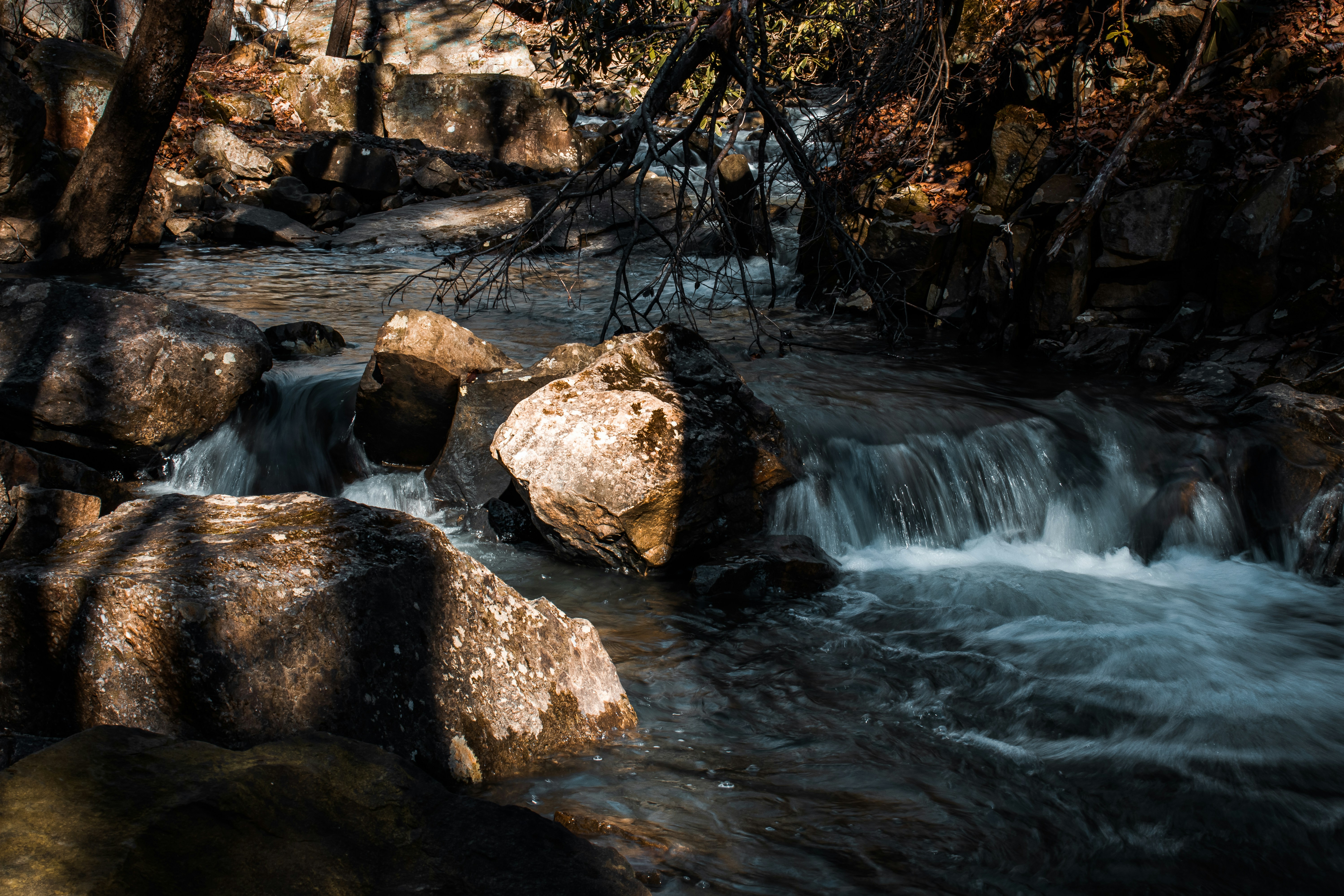 Photo by brice_cooper18