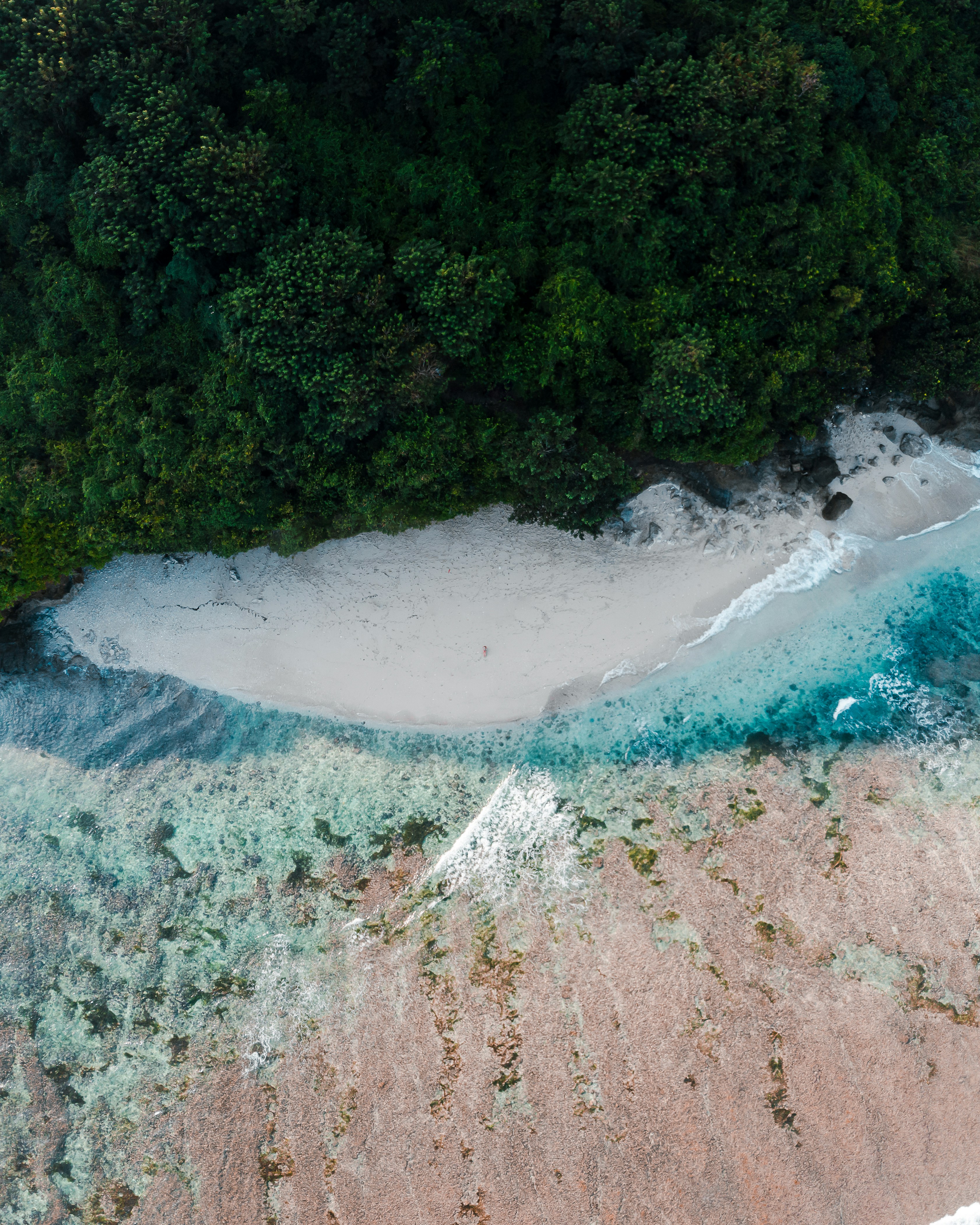 Pesona Pantai Pasir Putih Raja Ampat