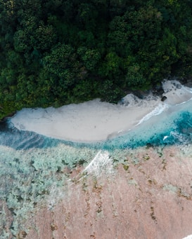 Aerial view of a secluded beach bordered by lush, dense green rainforest and clear turquoise ocean. The shoreline is marked by white sand, gradually transitioning to vibrant blue waters with visible coral reefs and gentle waves.