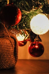 a close up of a christmas ornament on a tree