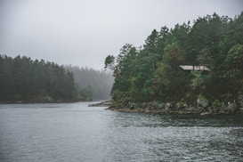 a body of water surrounded by trees on a foggy day