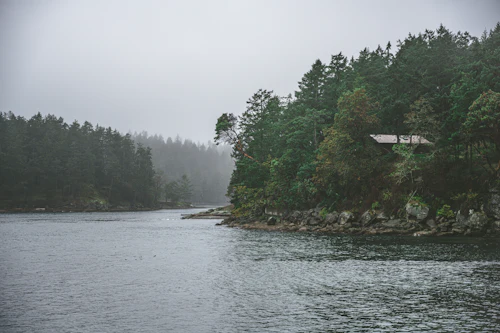 Foggy inlet on the British Columbia coast