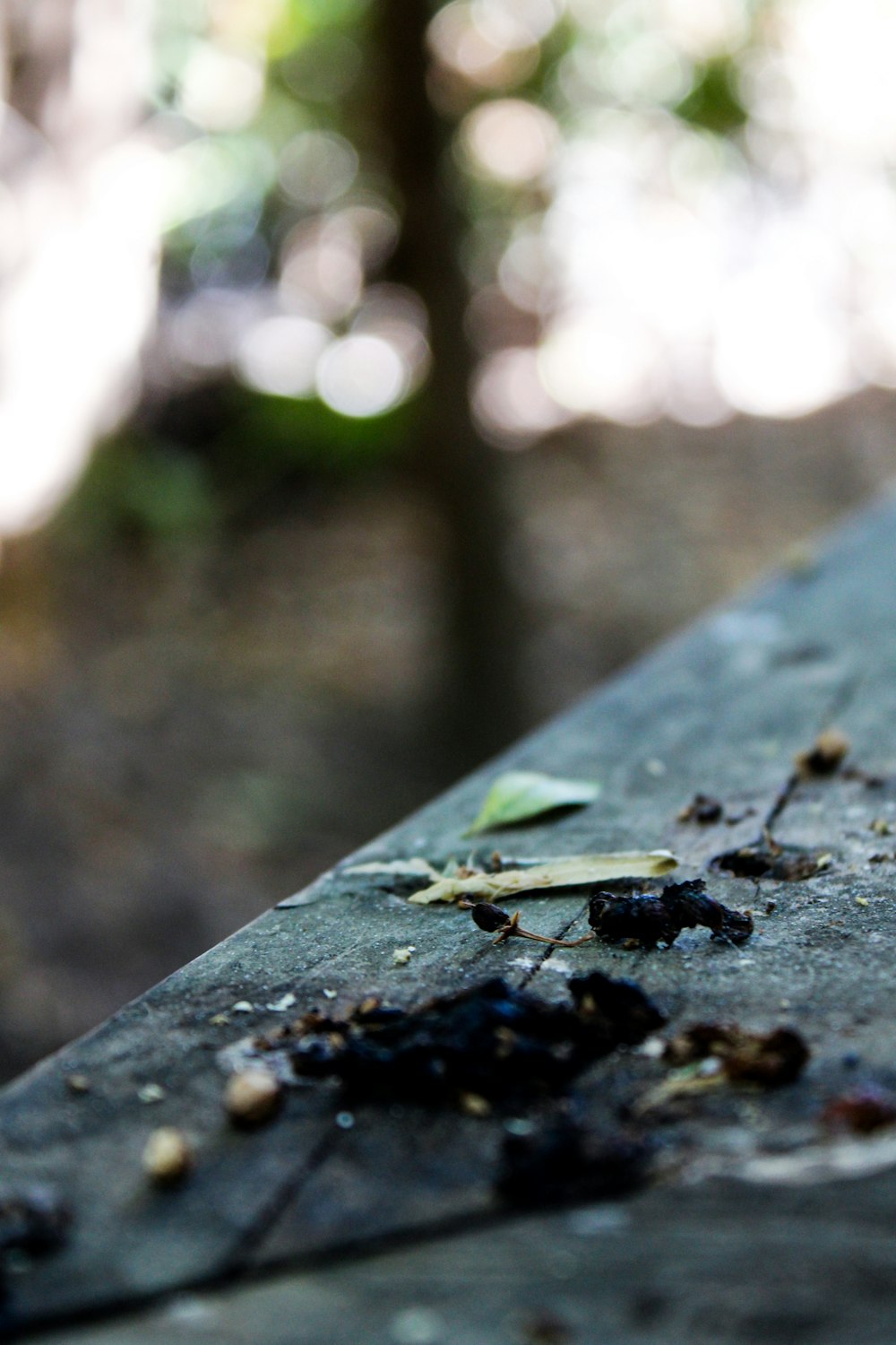 a close up of a piece of metal with dirt on it