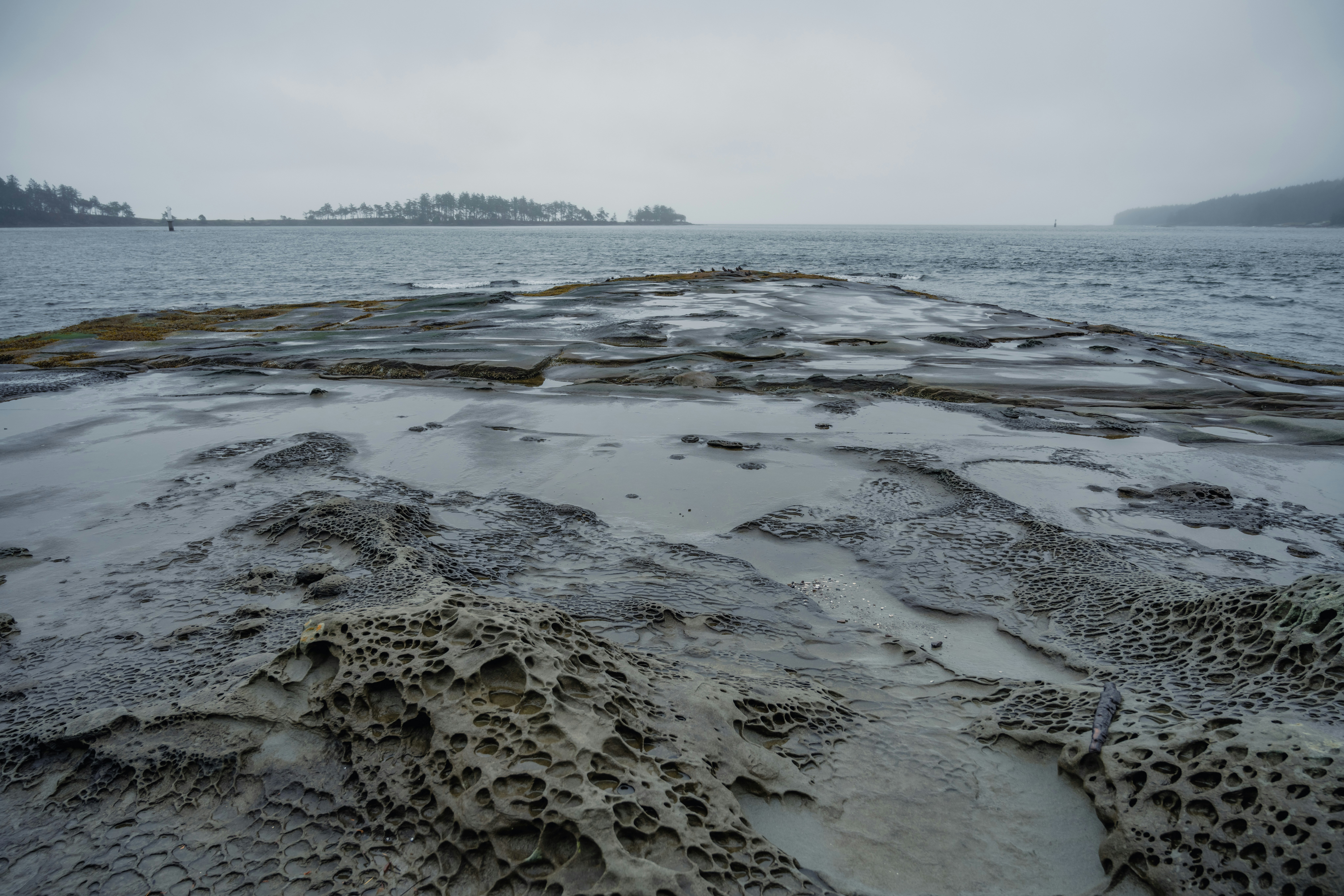 a beach covered in sand next to a body of water