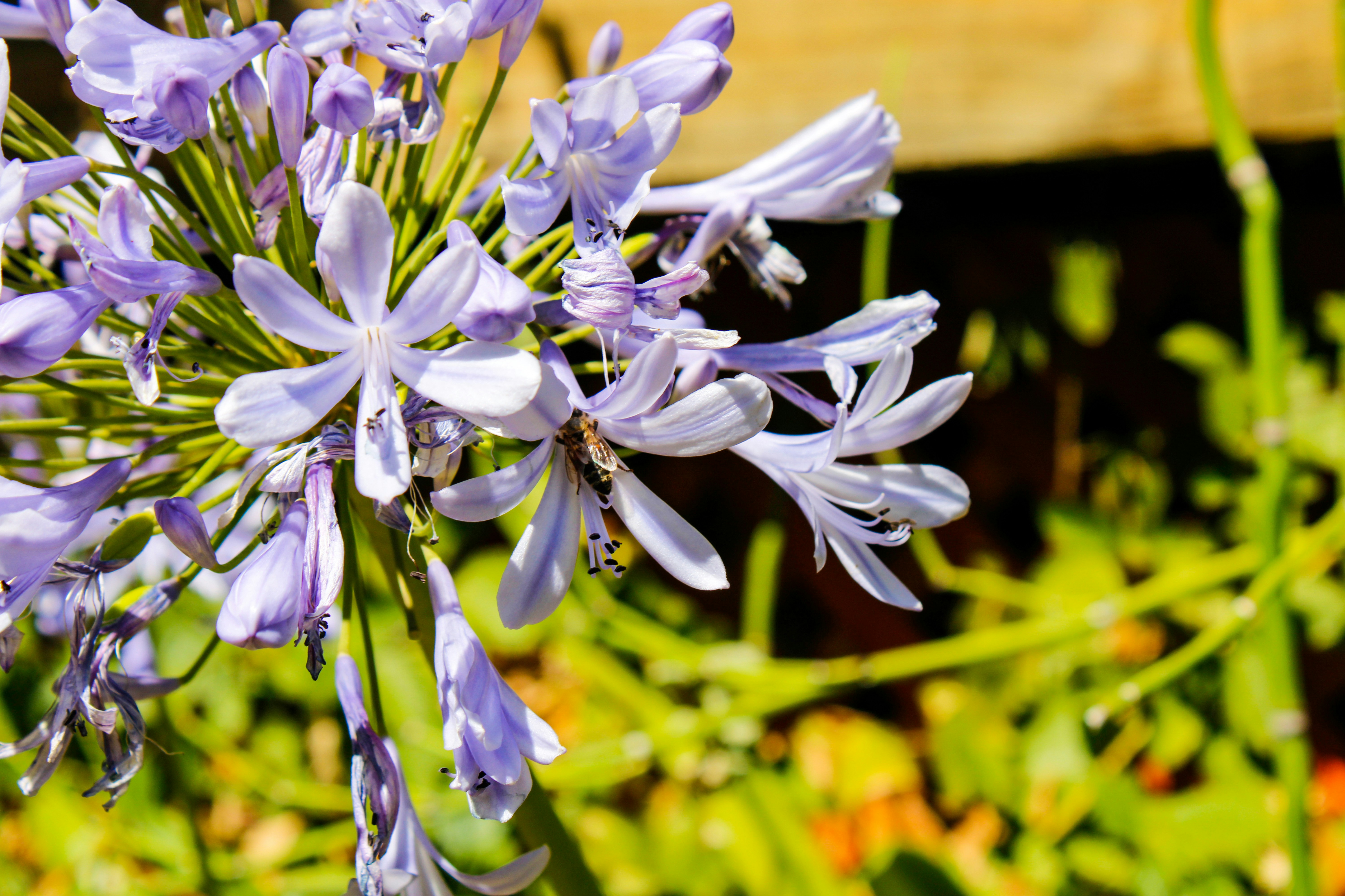 Photo by bastianfelipe