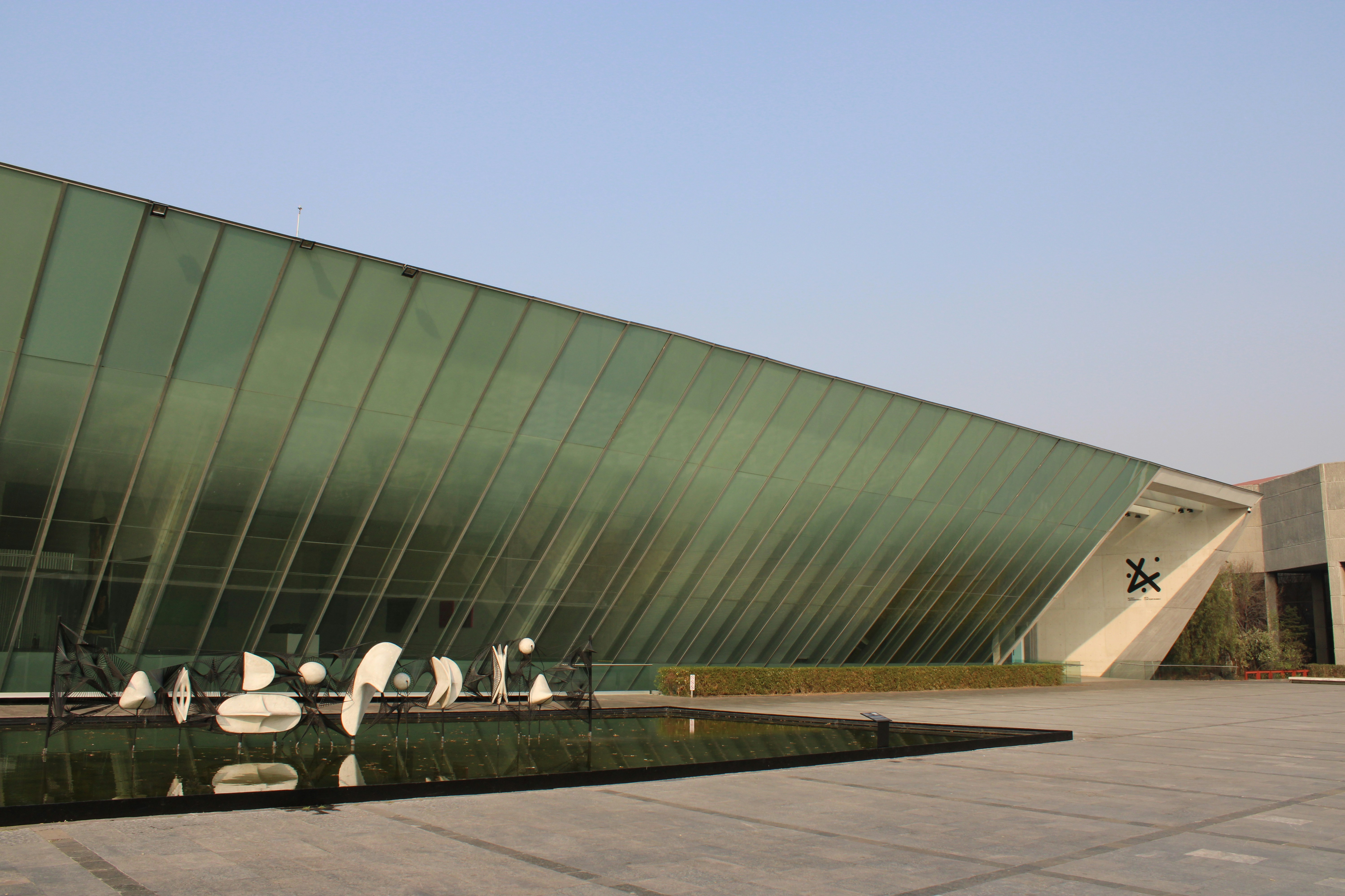 a group of white birds sitting on top of a pond