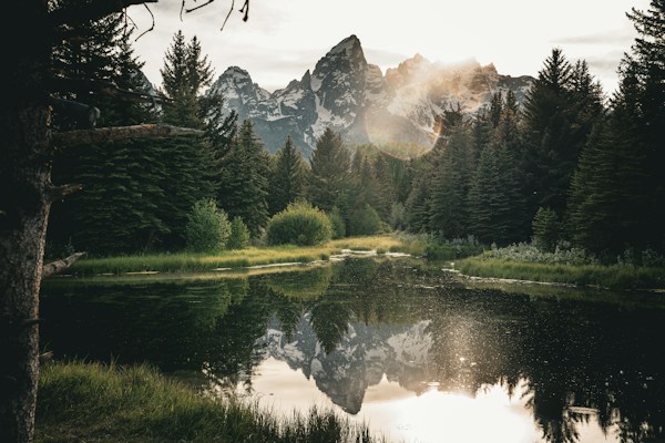 A tranquil landscape of tall pine trees surrounding a calm body of water that reflects the distant snow-capped mountains. The sunlight creates a lens flare effect, adding a warm glow to the scene. The lush greenery suggests a vibrant and untouched natural environment.