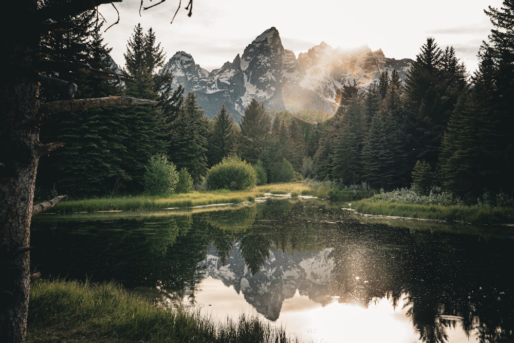 a lake surrounded by trees with mountains in the background