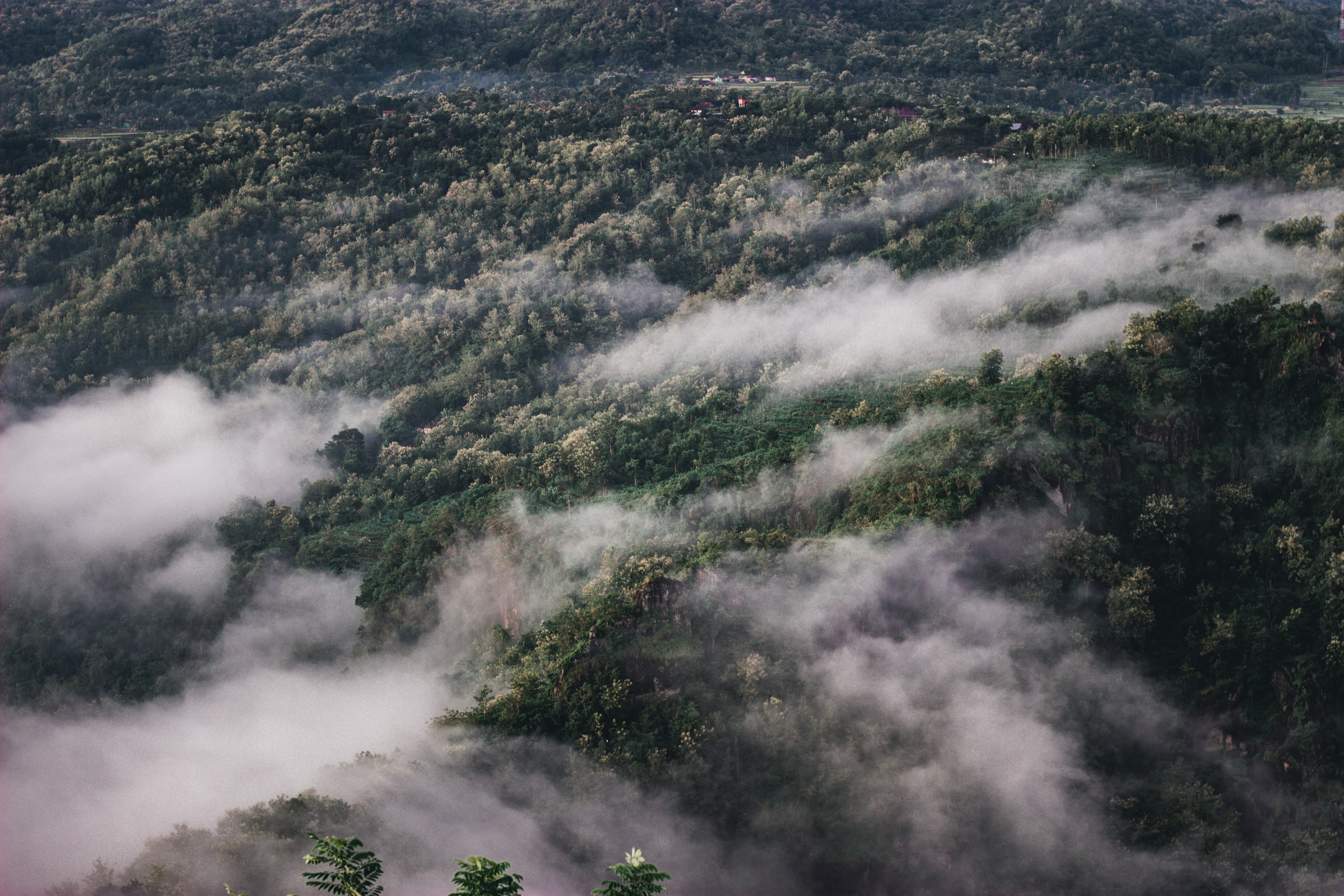 Photo by iqbaladitama91