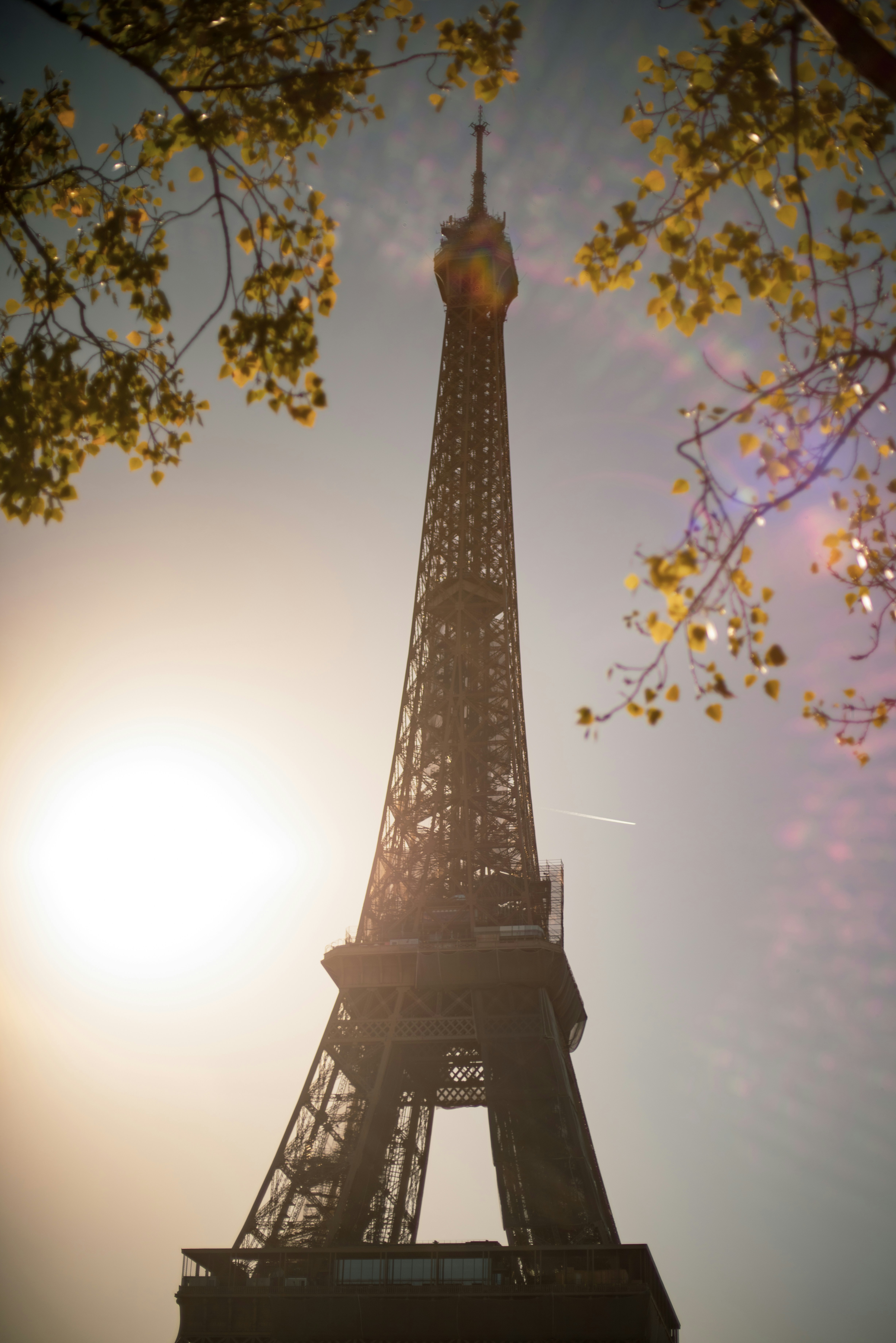 the eiffel tower towering over the city of paris
