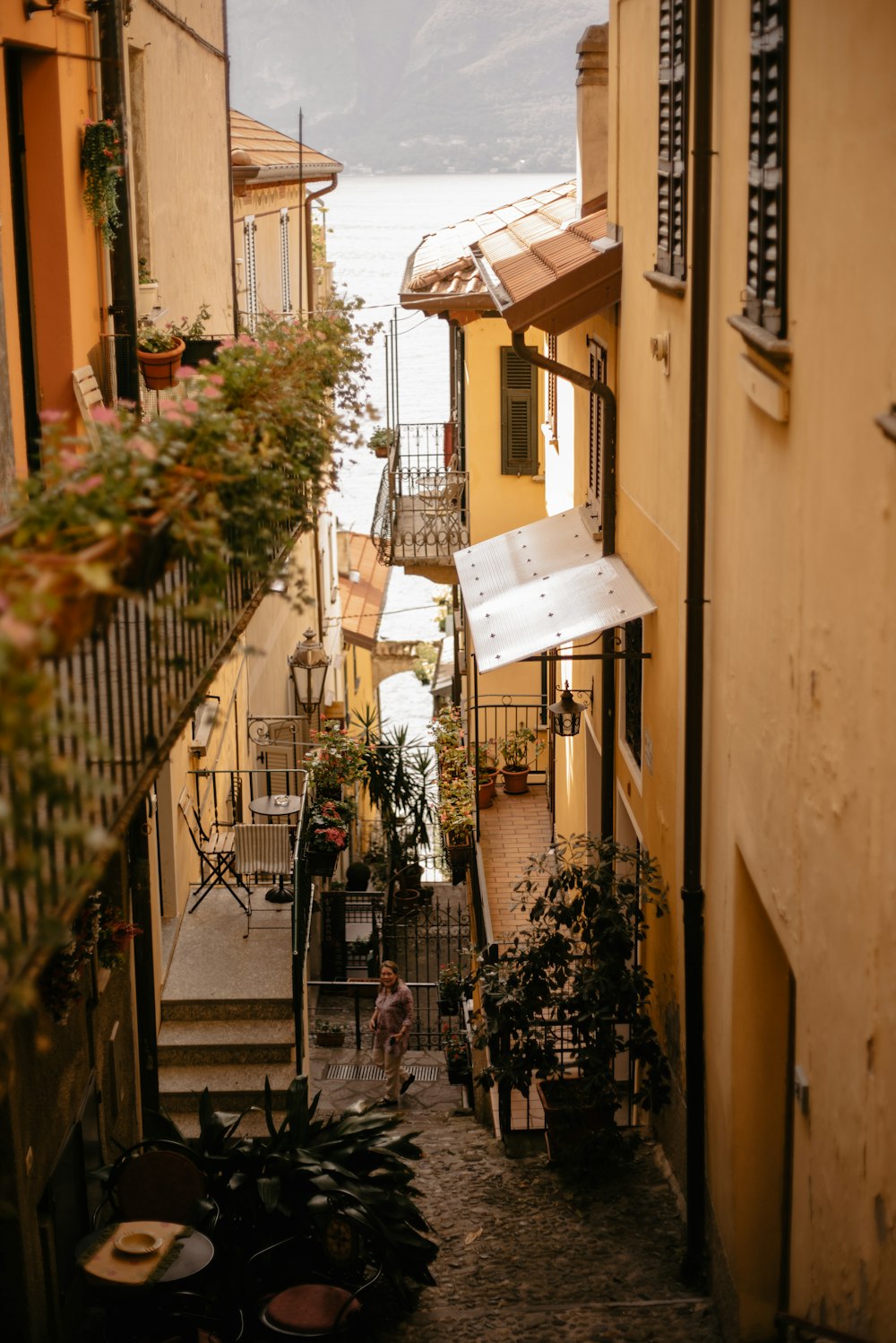 a narrow alley way with potted plants on either side