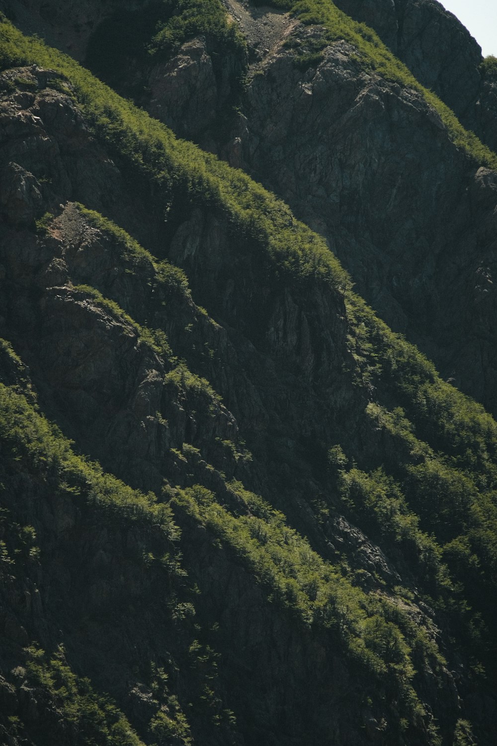 a mountain side with green vegetation growing on it