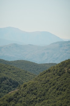 A serene landscape featuring soft blue-green hues.