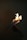 A hand holding a burning paper airplane against a dark background. The flames are prominently visible, engulfing the front of the airplane and casting a warm glow.