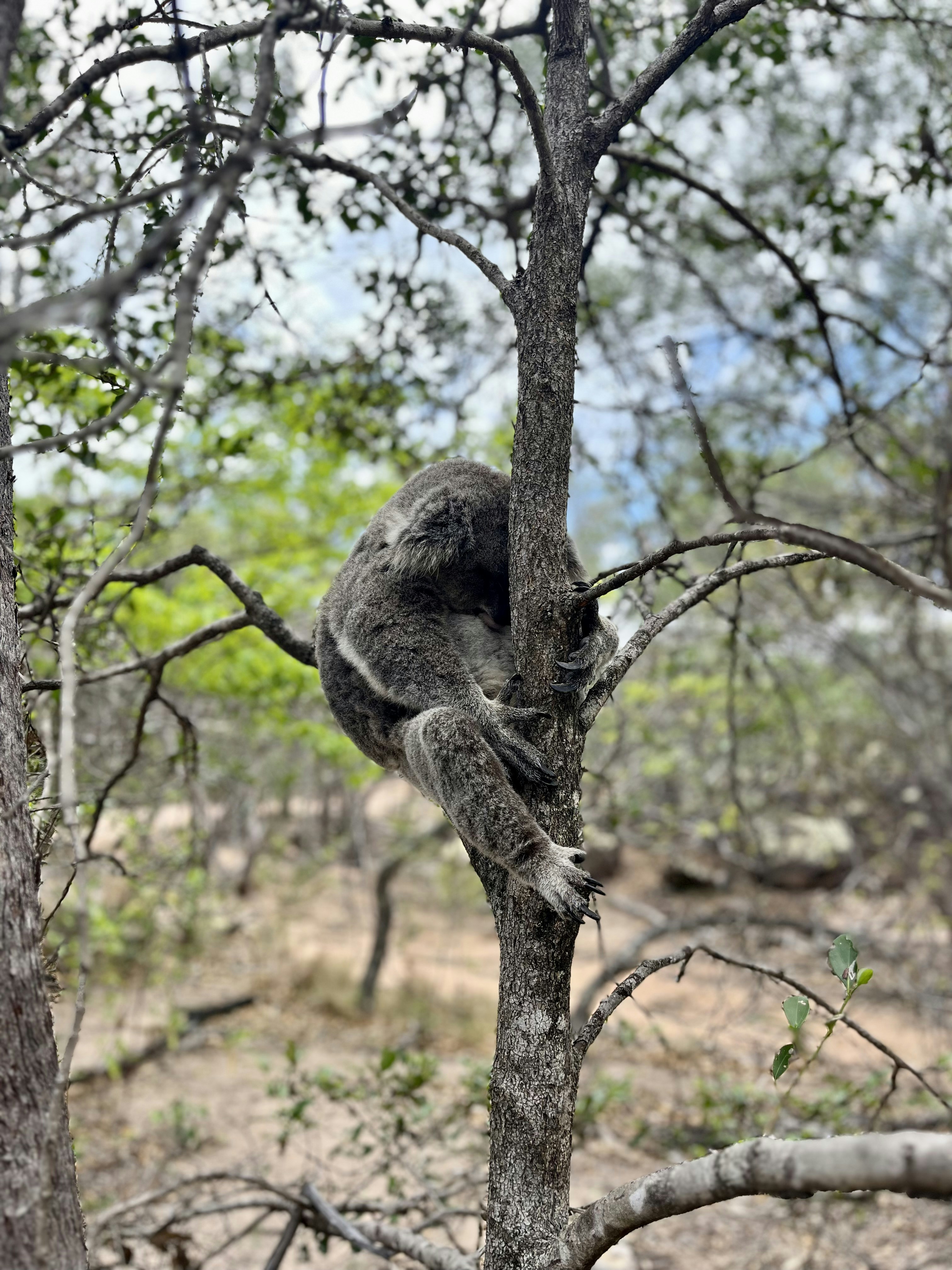 Photo by lisaboonaerts