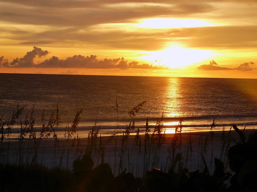 the sun is setting over the ocean on the beach