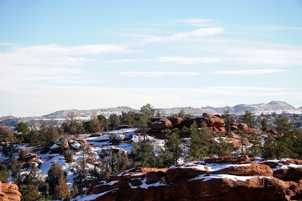 a view of a snowy mountain with trees and rocks