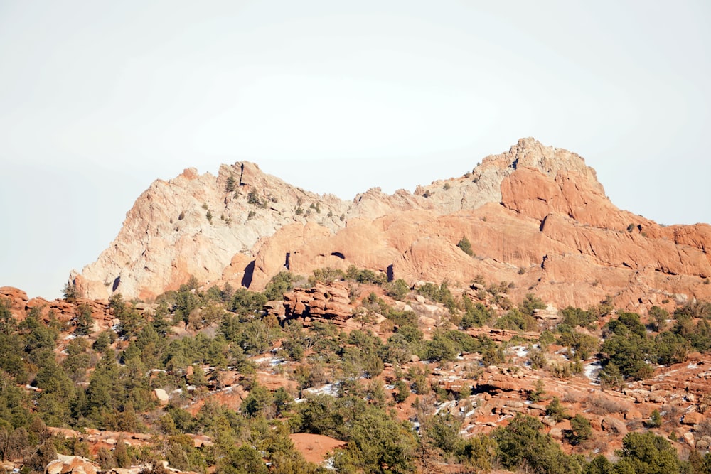 a rocky mountain with trees growing on it