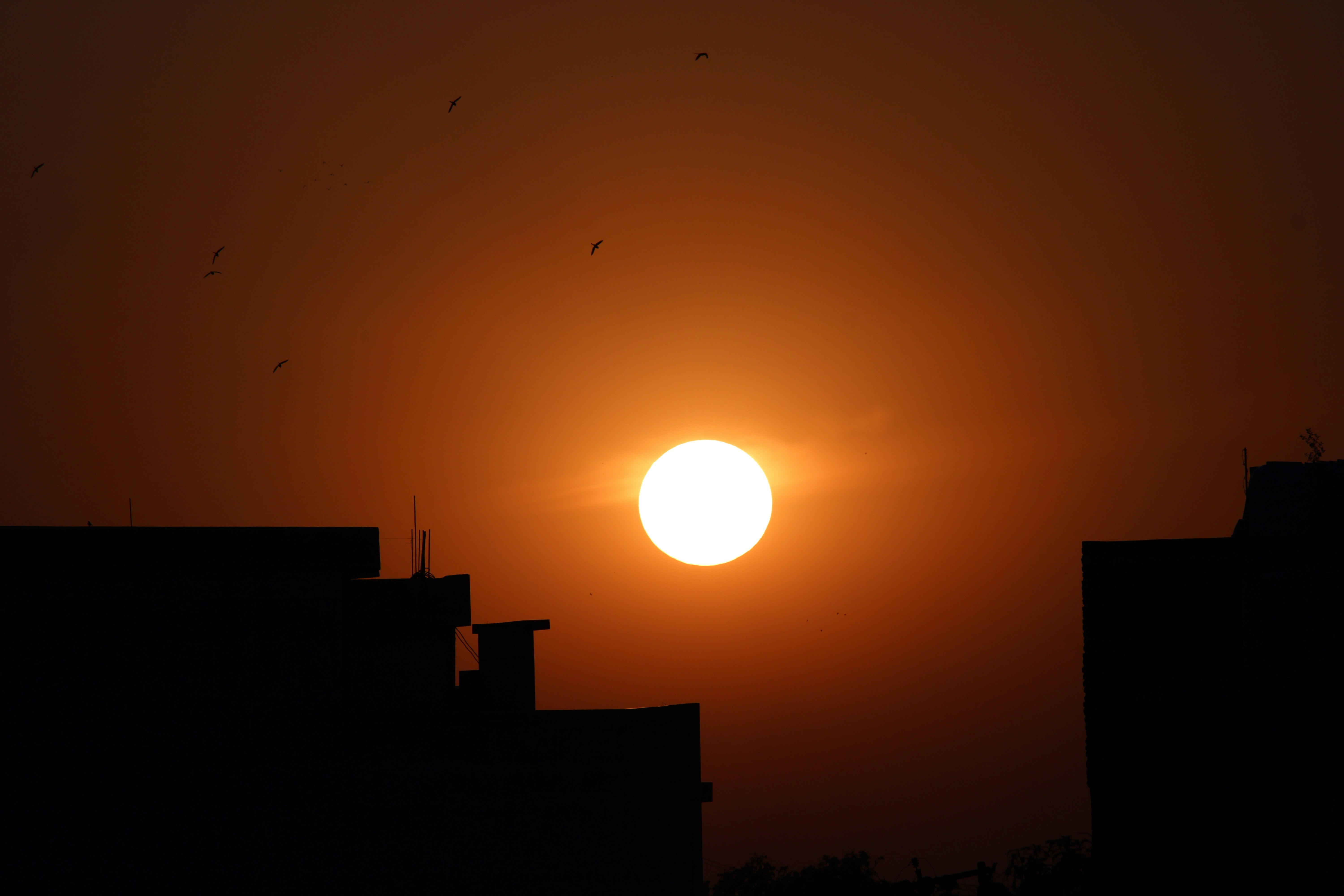 Photo by rohini_gusain