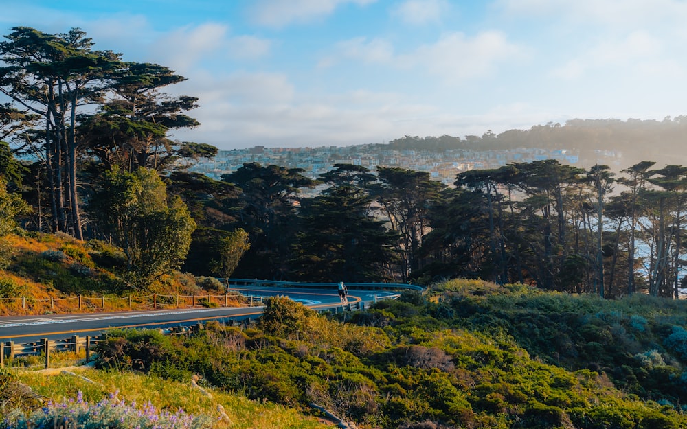 a scenic view of a road surrounded by trees