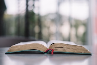 An open book lies flat on a reflective surface with a red bookmark hanging down from the center. The background is blurred, suggesting an out-of-focus outdoor view.
