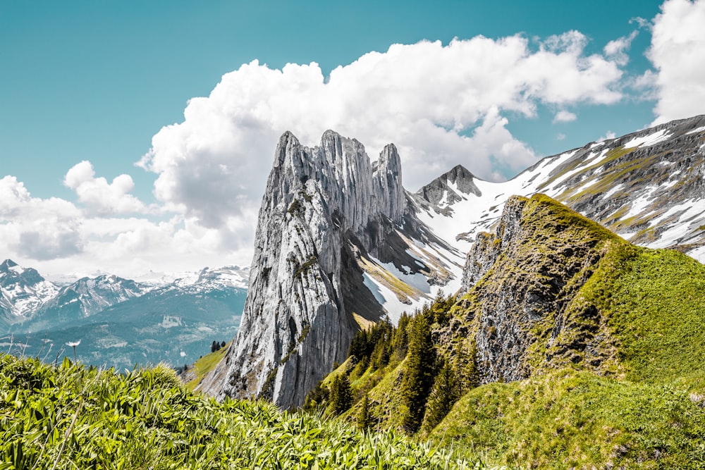 a view of a mountain range from the top of a hill