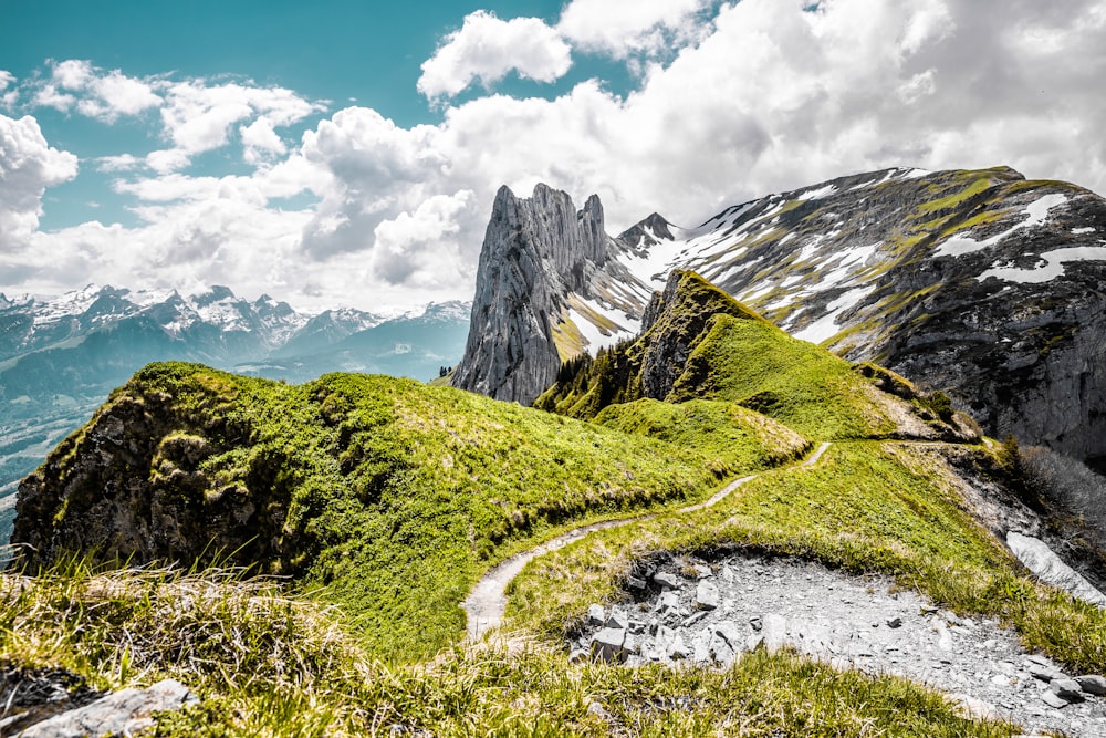 a grassy hill with a trail going through it